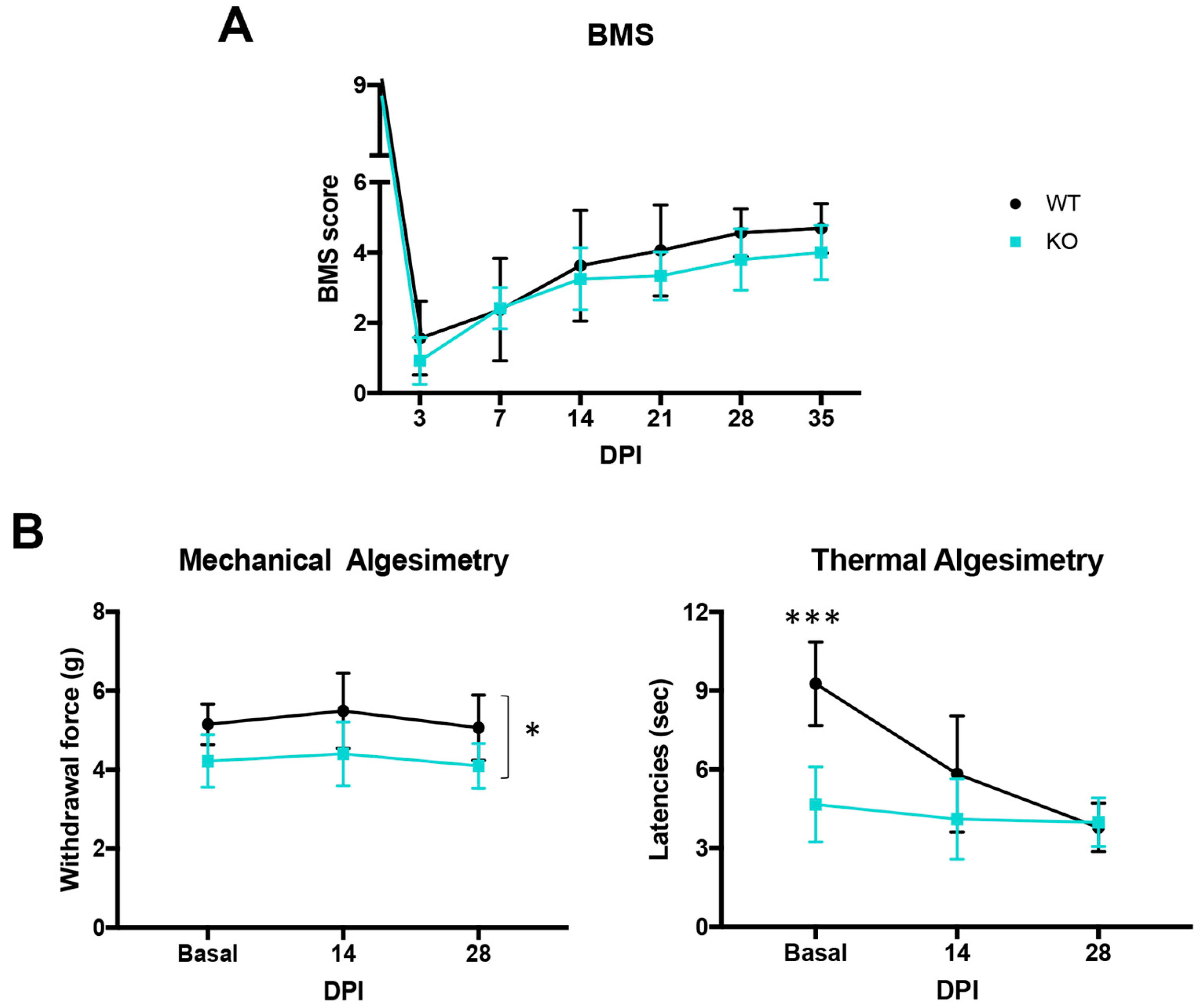 Ijms 25 04267 g003 Ijms 25 04267 g003
