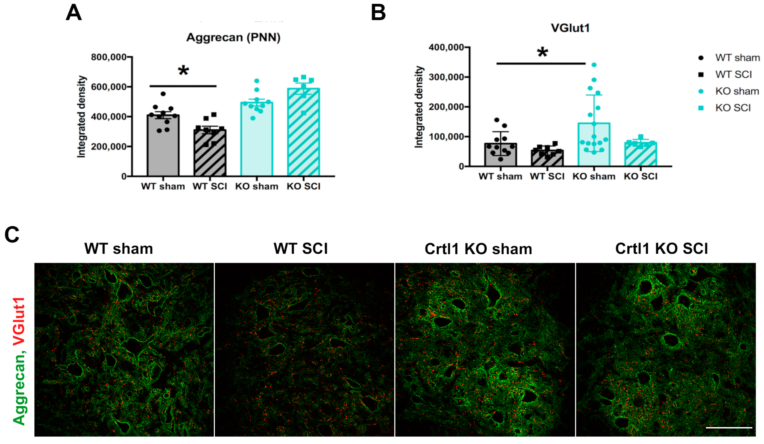 Ijms 25 04267 g005 Ijms 25 04267 g005