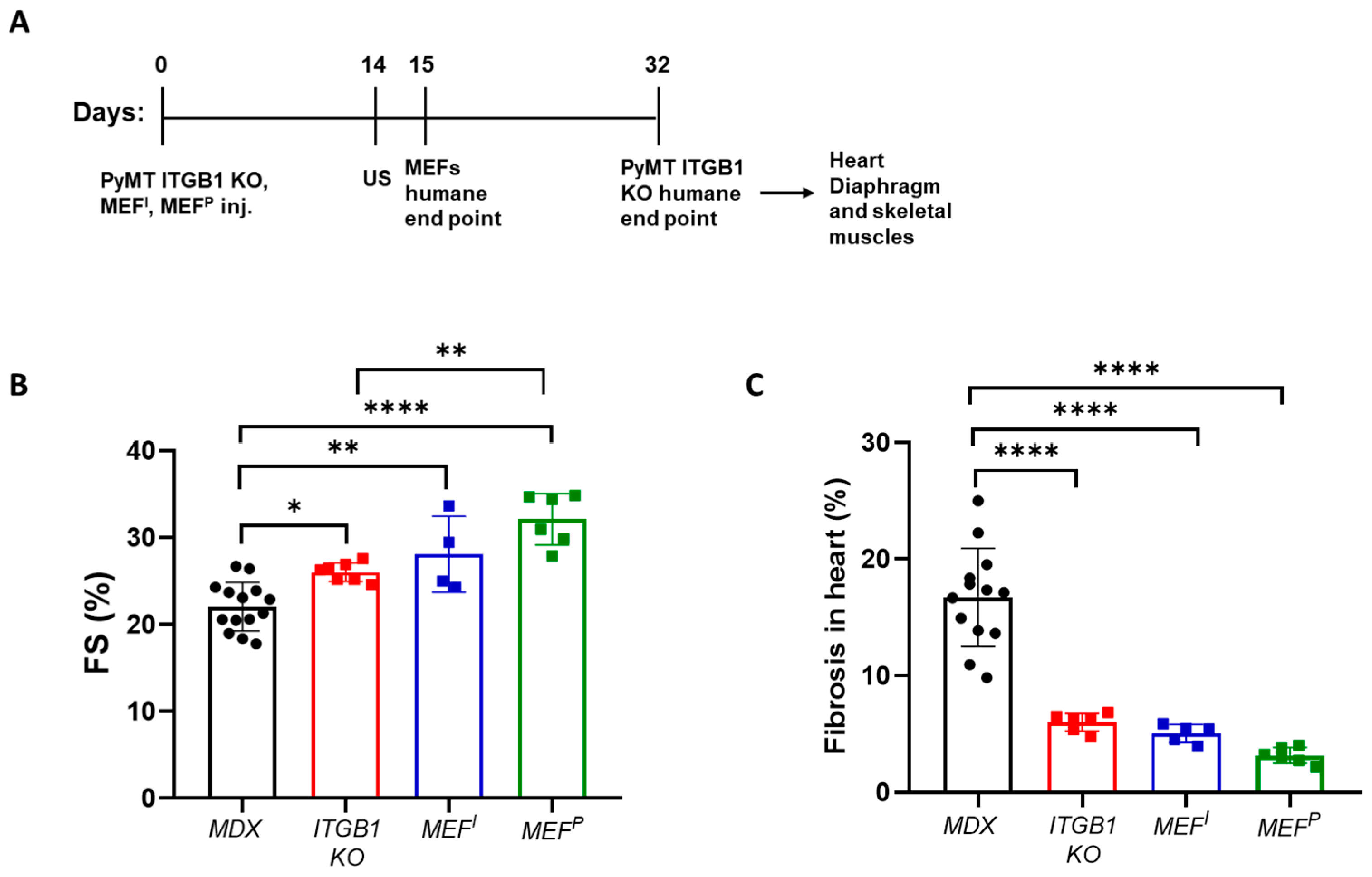Ijms 25 04273 g001 Ijms 25 04273 g001