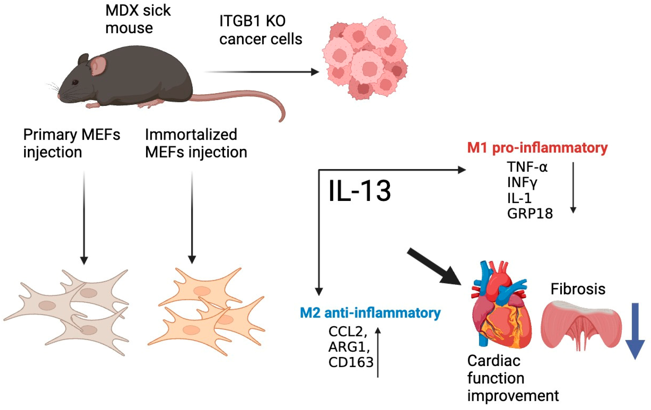 Ijms 25 04273 g005 Ijms 25 04273 g005