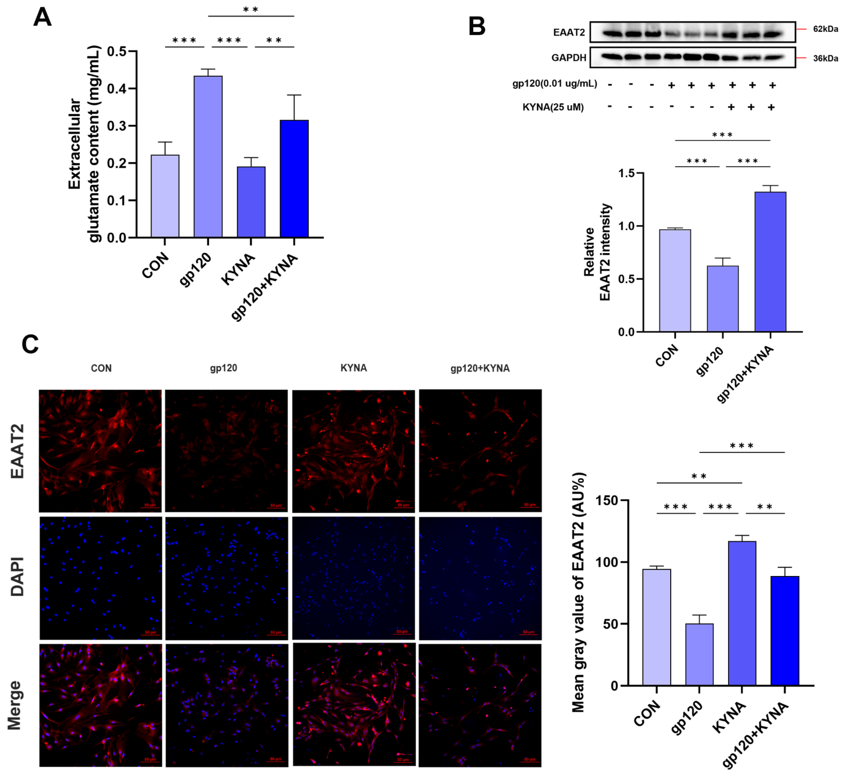Ijms 25 04286 g004 Ijms 25 04286 g004