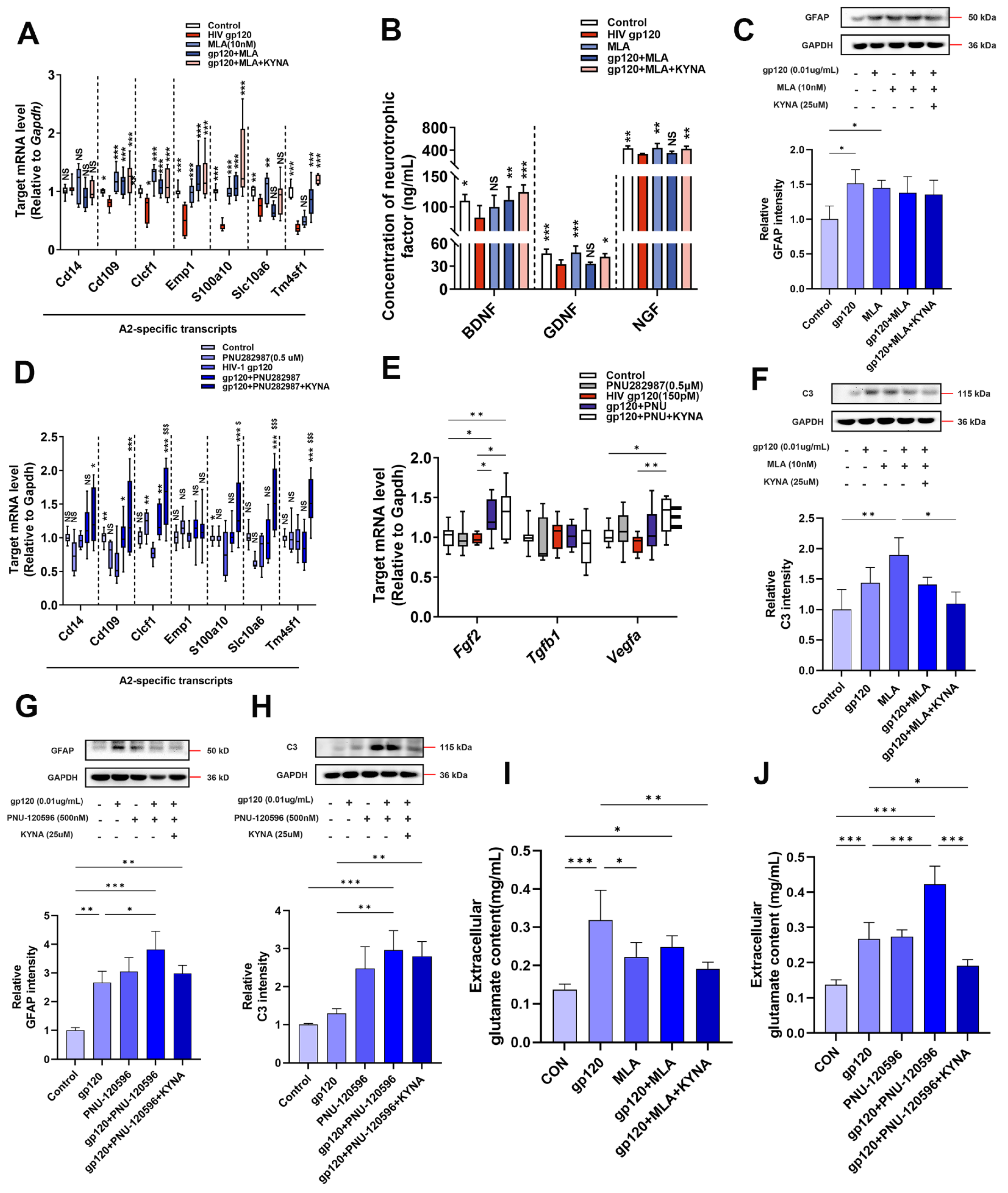Ijms 25 04286 g005 Ijms 25 04286 g005