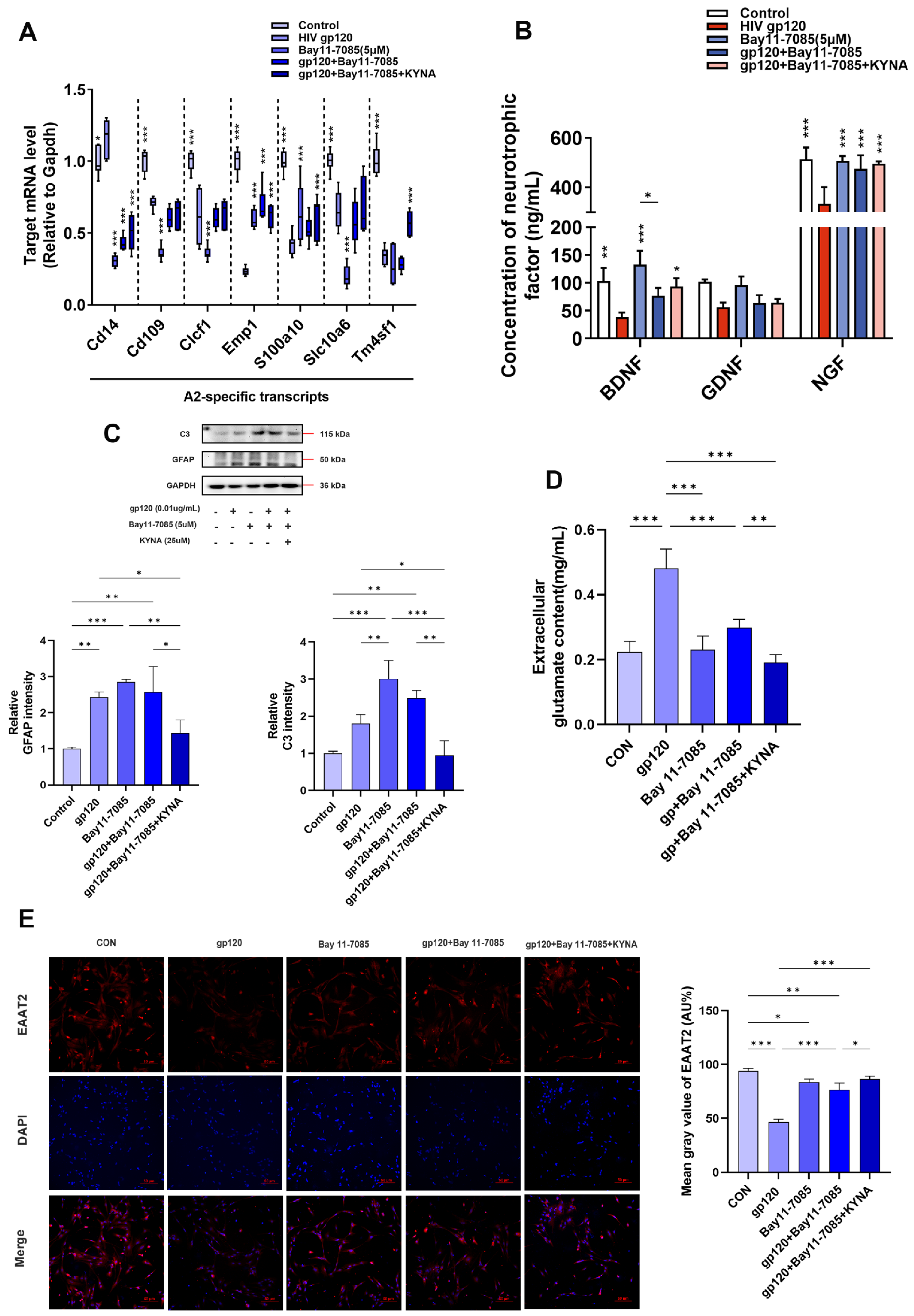 Ijms 25 04286 g007 Ijms 25 04286 g007