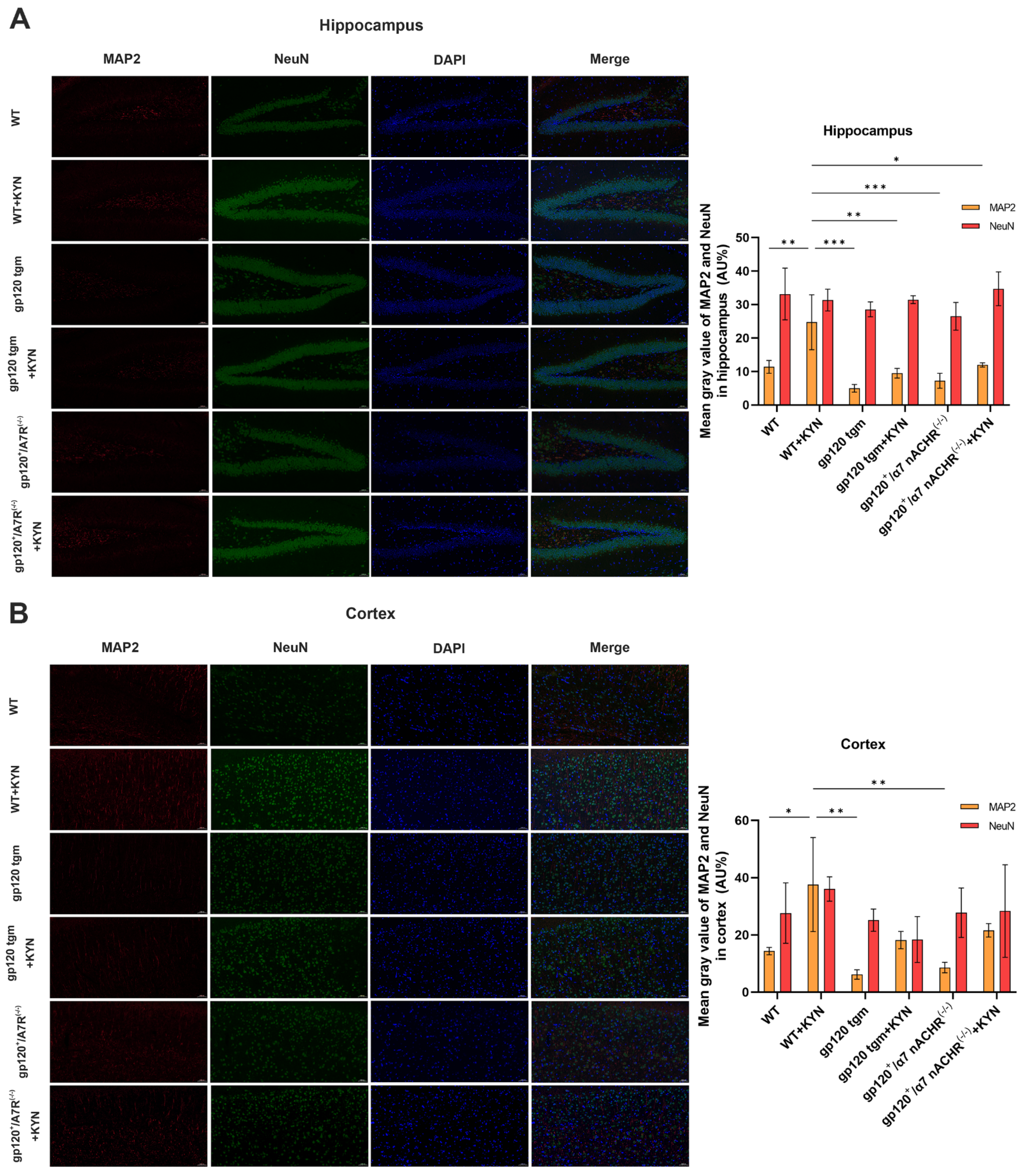 Ijms 25 04286 g010 Ijms 25 04286 g010