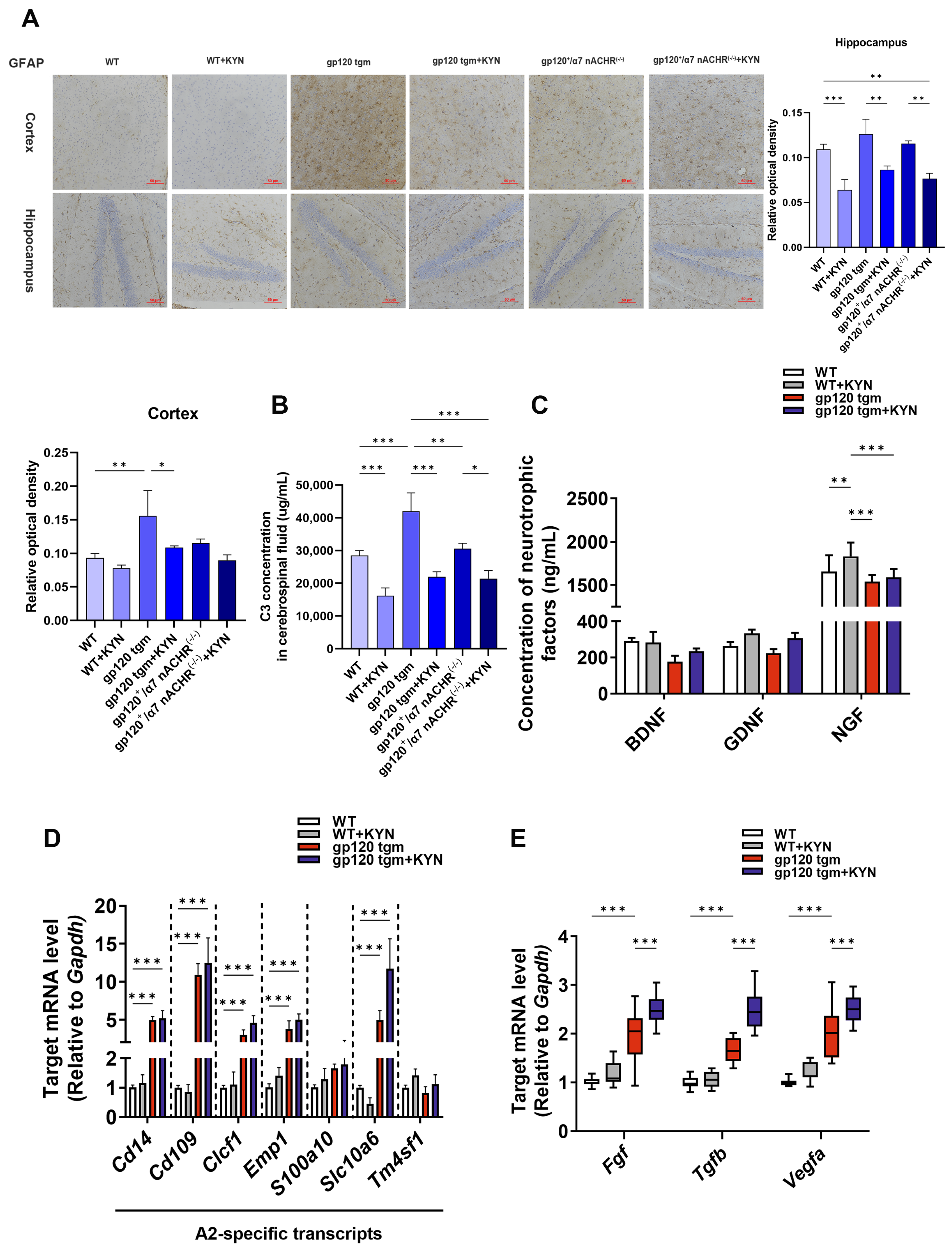 Ijms 25 04286 g011 Ijms 25 04286 g011