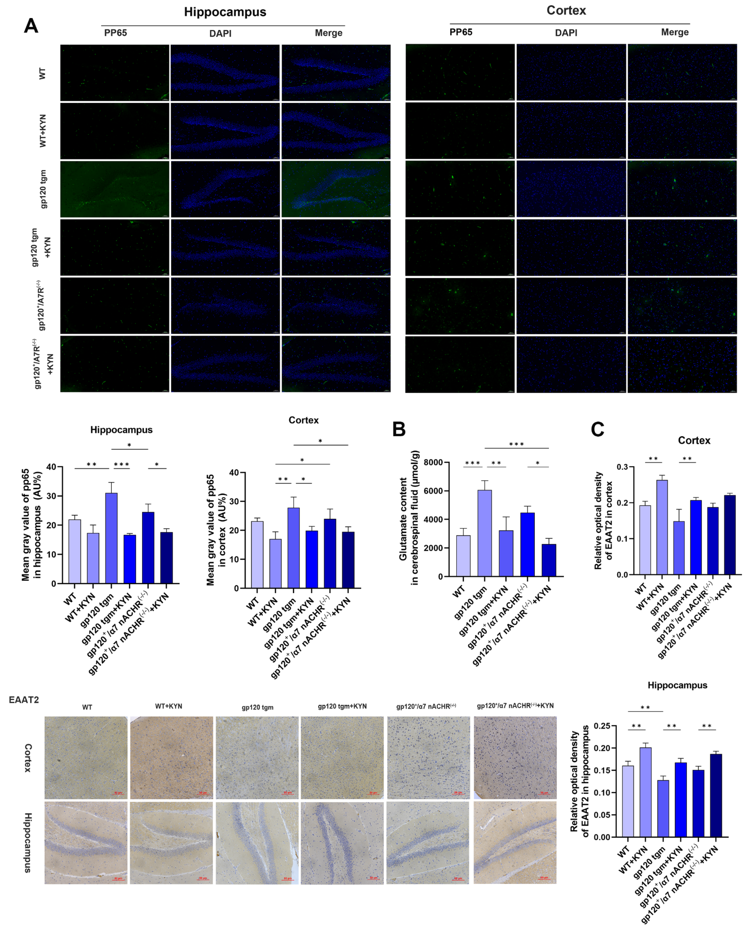 Ijms 25 04286 g012 Ijms 25 04286 g012