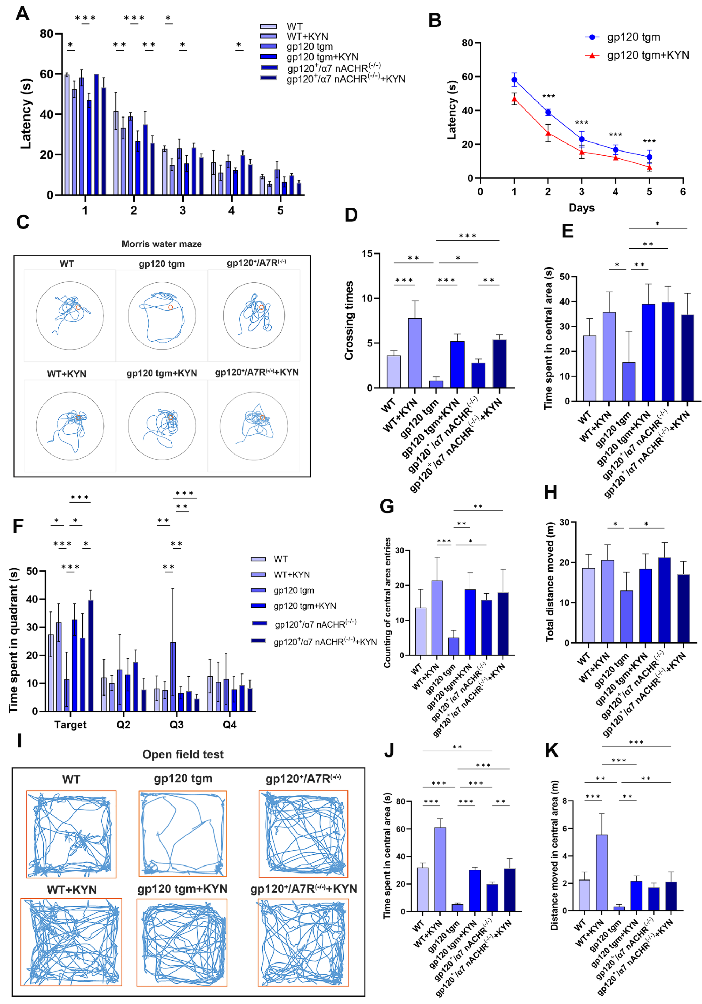 Ijms 25 04286 g013 Ijms 25 04286 g013