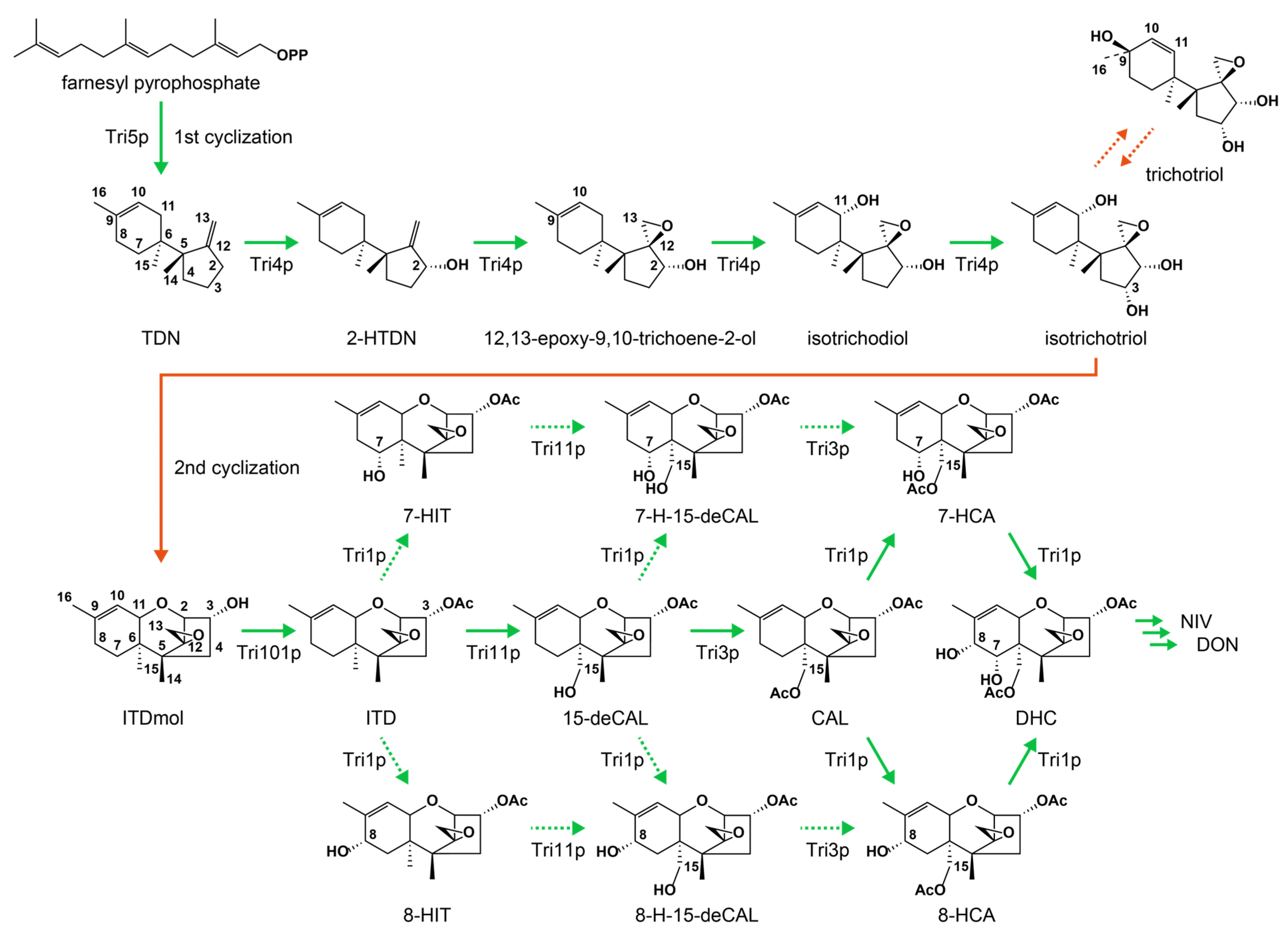 Ijms 25 04288 g001 Ijms 25 04288 g001