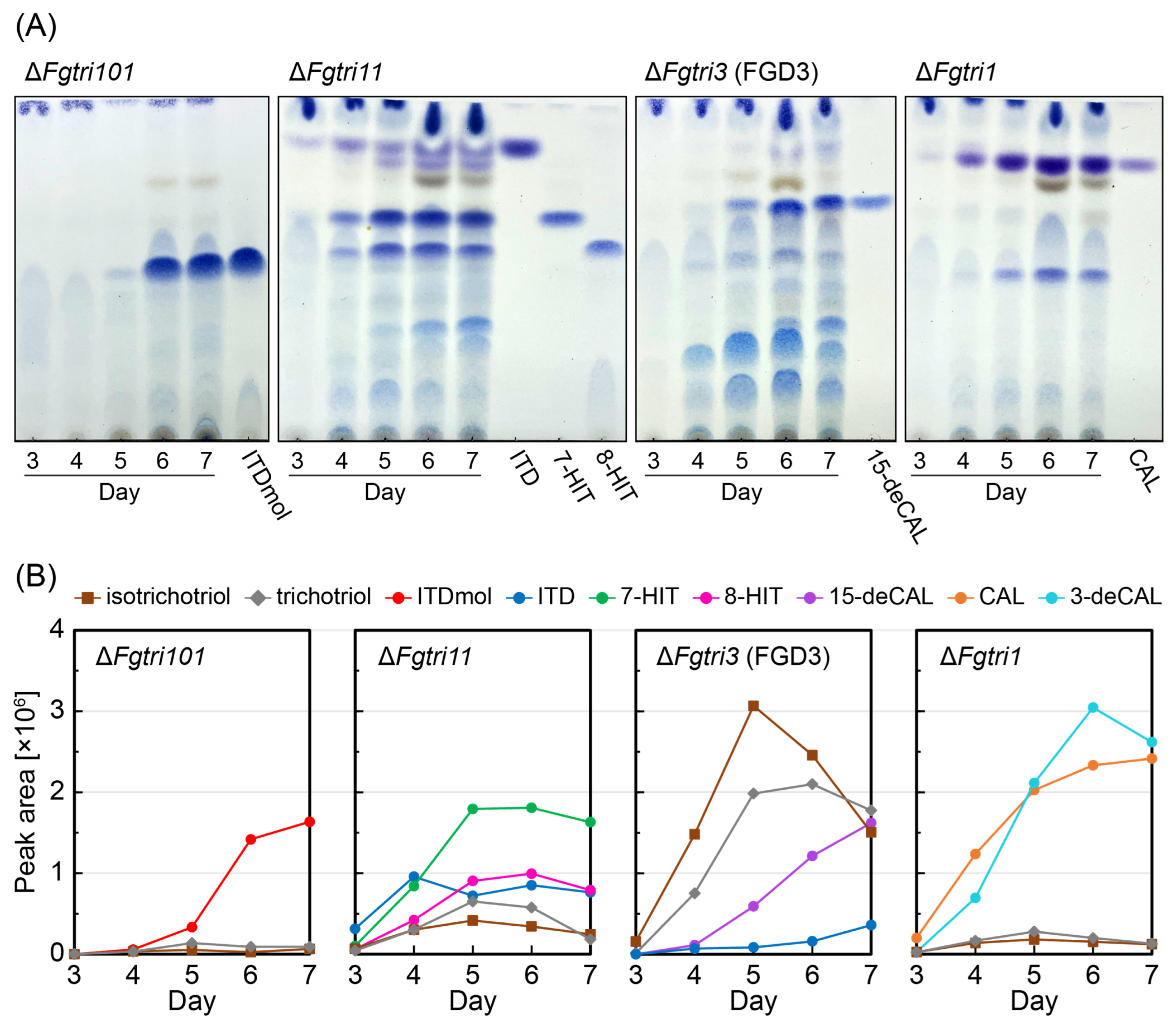 Ijms 25 04288 g002 Ijms 25 04288 g002