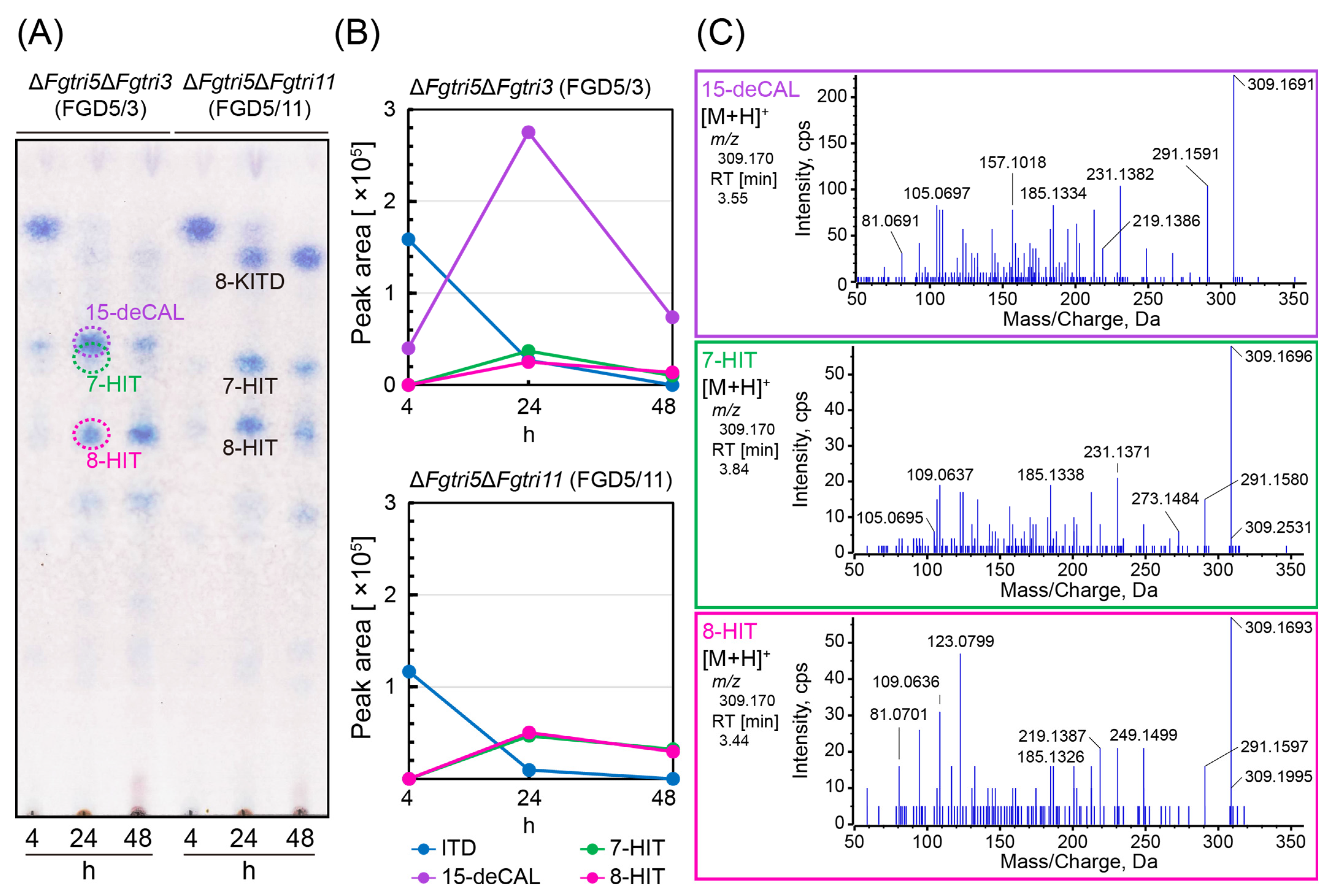 Ijms 25 04288 g003 Ijms 25 04288 g003