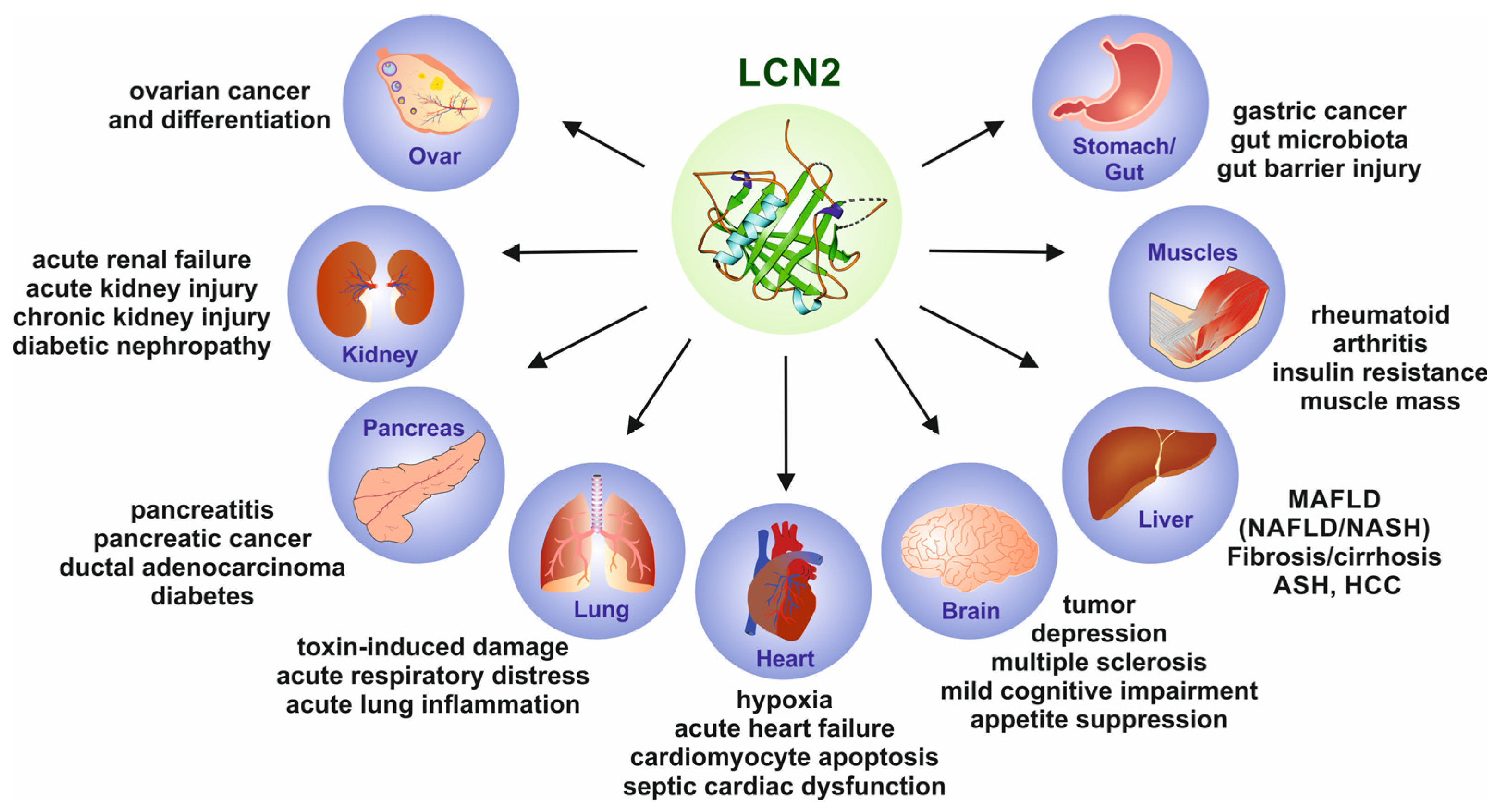 Ijms 25 04290 g005 Ijms 25 04290 g005