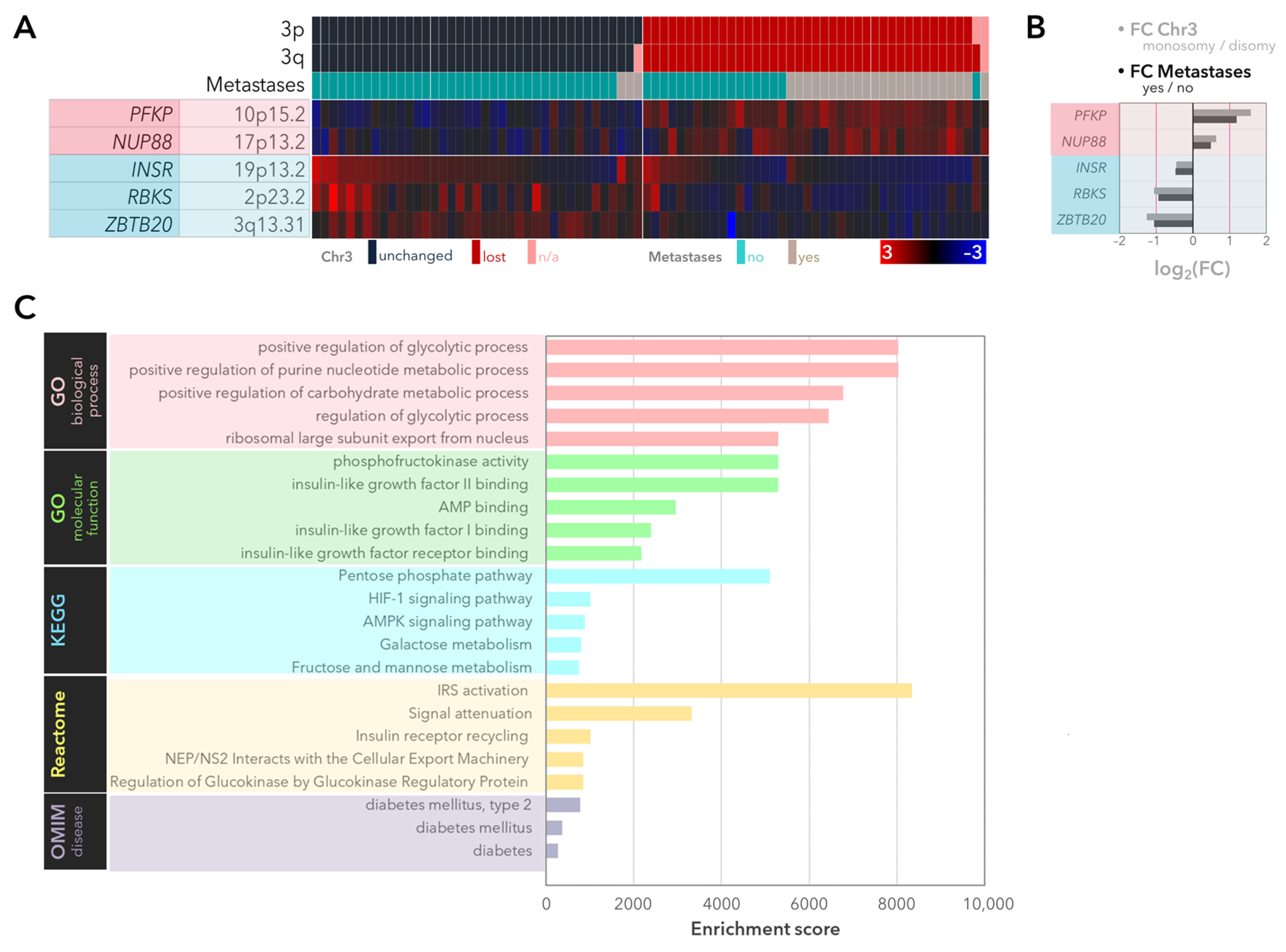 Ijms 25 04292 g001 Ijms 25 04292 g001