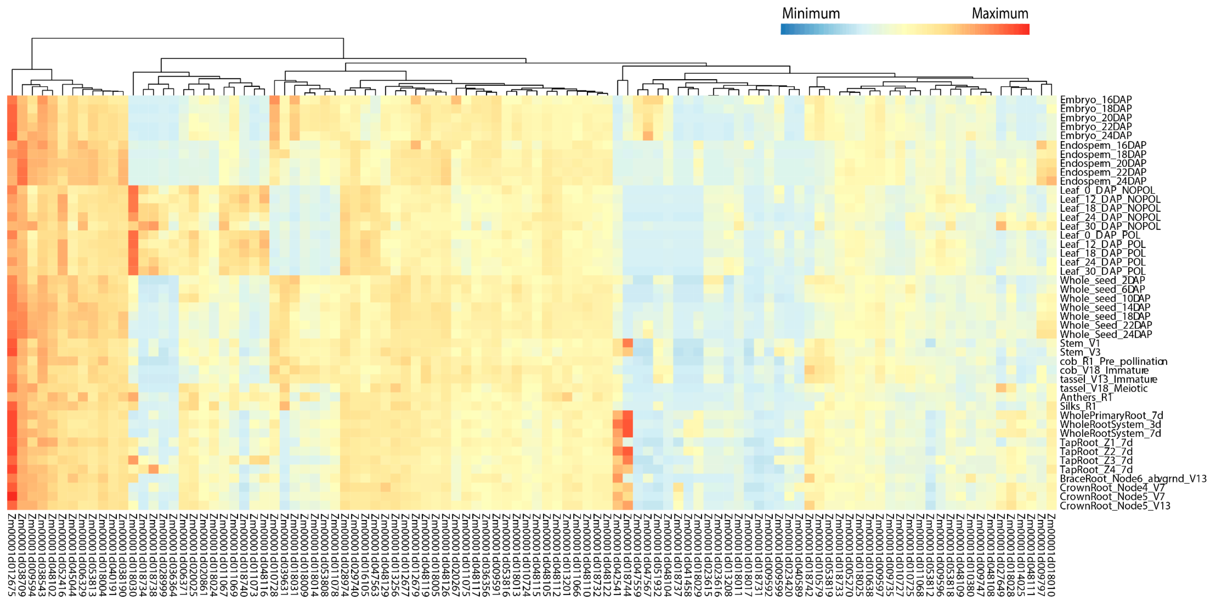 Ijms 25 04295 g006 Ijms 25 04295 g006