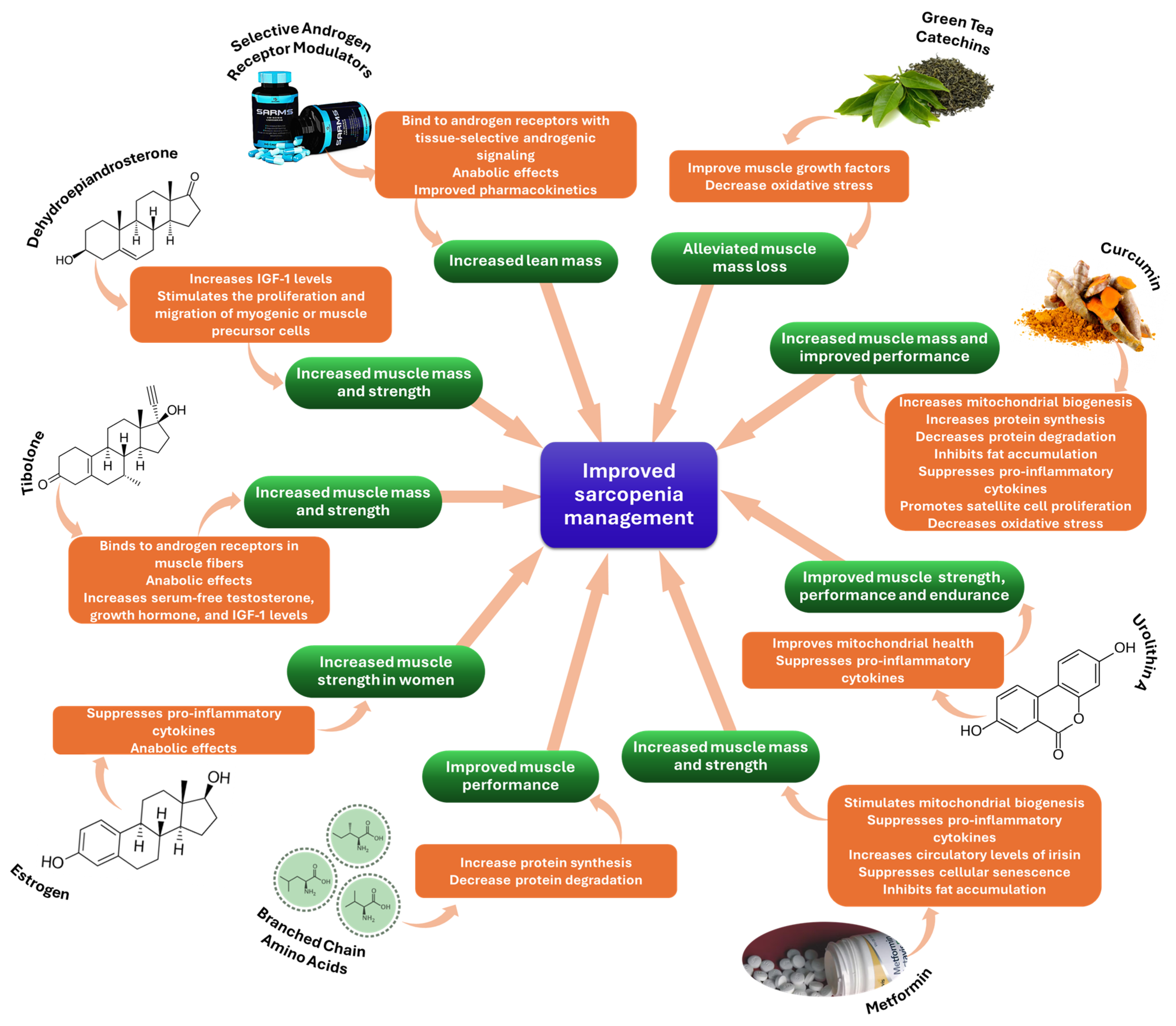 Ijms 25 04300 g003 Ijms 25 04300 g003