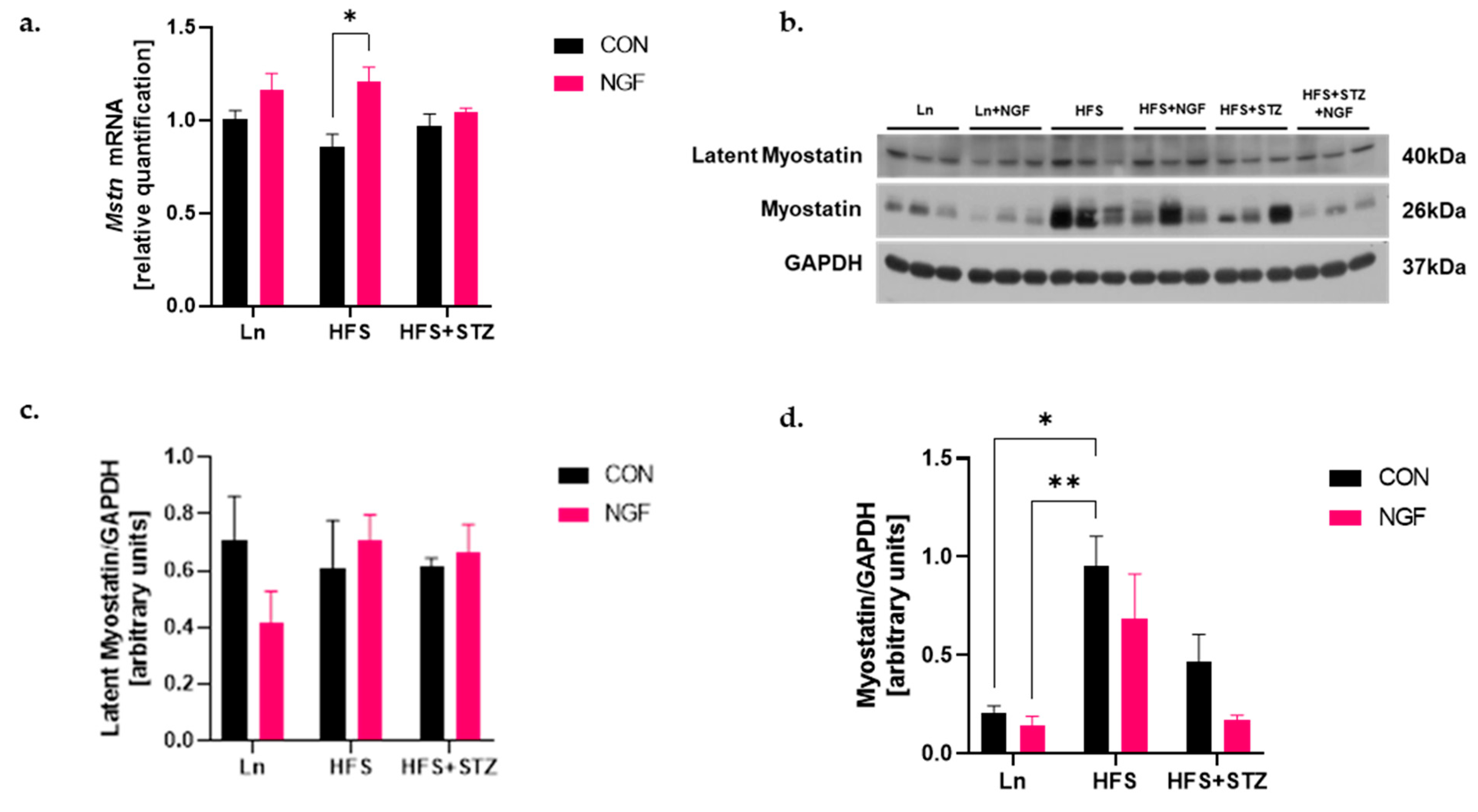 Ijms 25 04307 g002 Ijms 25 04307 g002