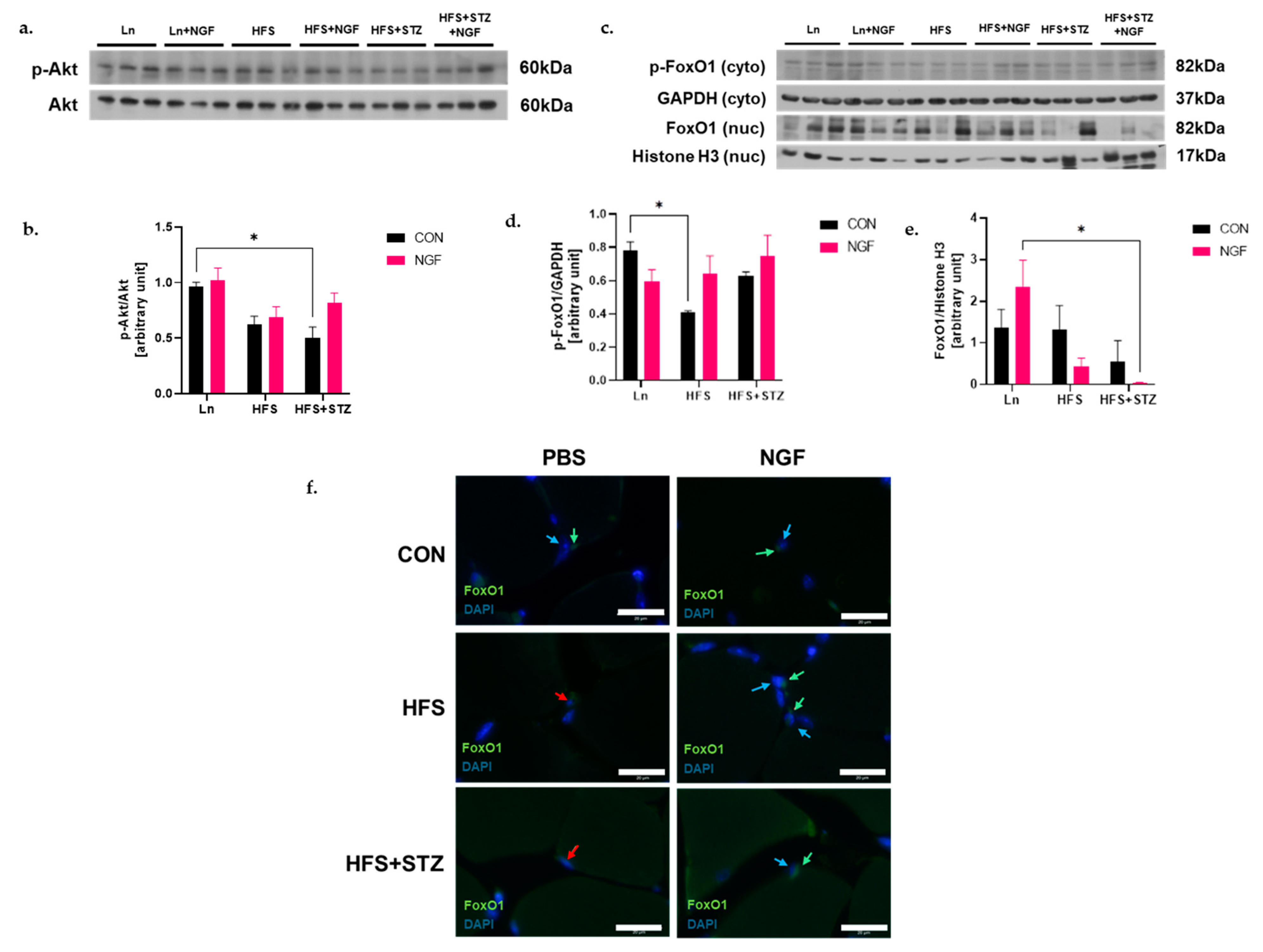 Ijms 25 04307 g003 Ijms 25 04307 g003