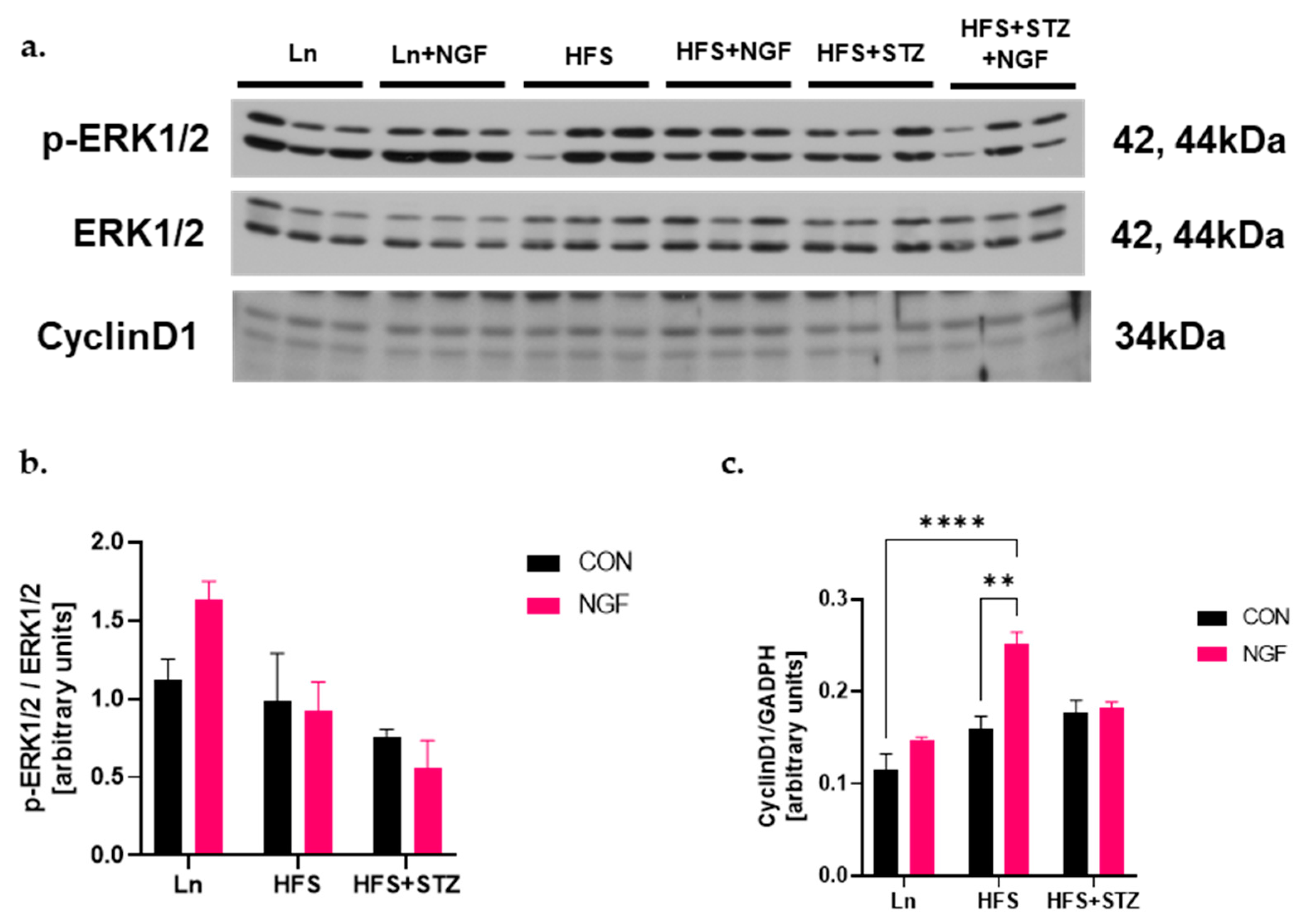 Ijms 25 04307 g005 Ijms 25 04307 g005