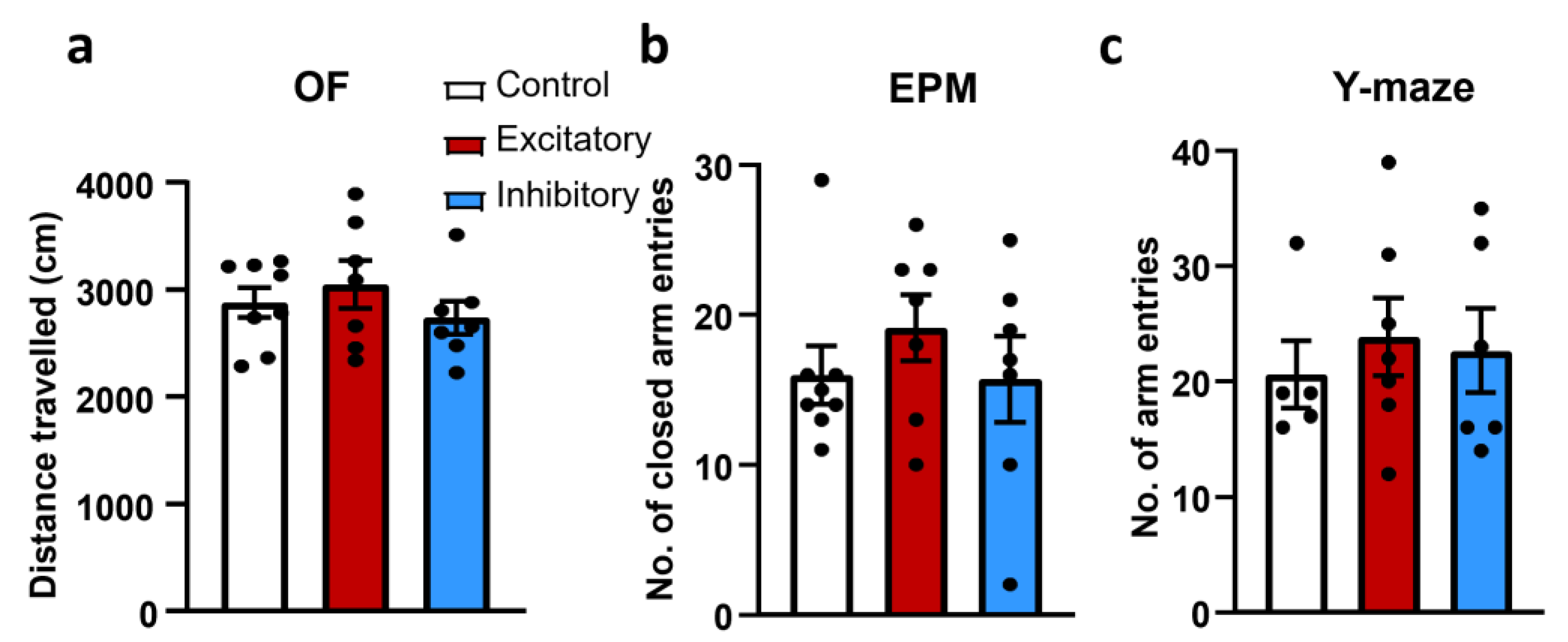 Ijms 25 04315 g004 Ijms 25 04315 g004