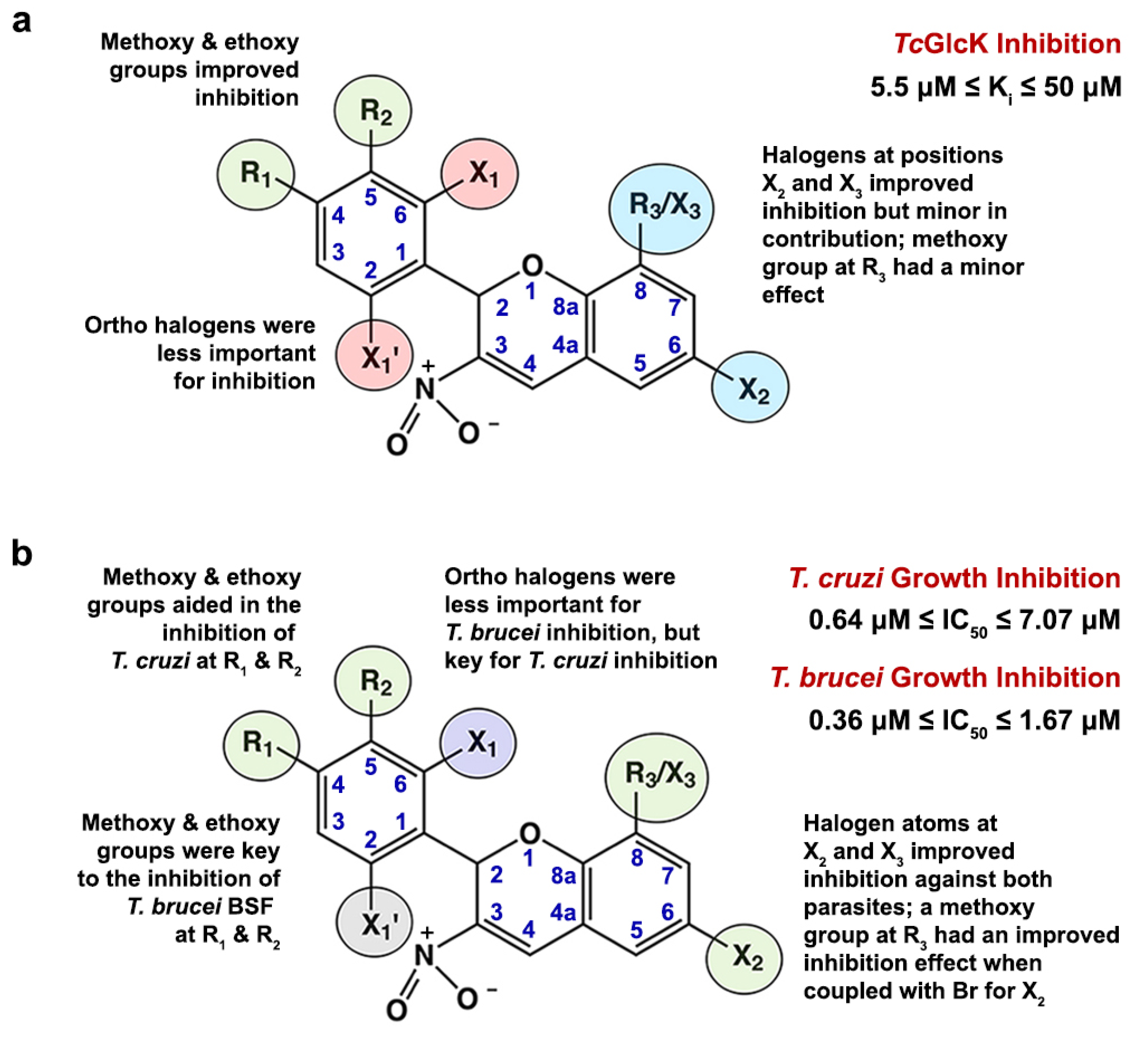 Ijms 25 04319 g006 Ijms 25 04319 g006