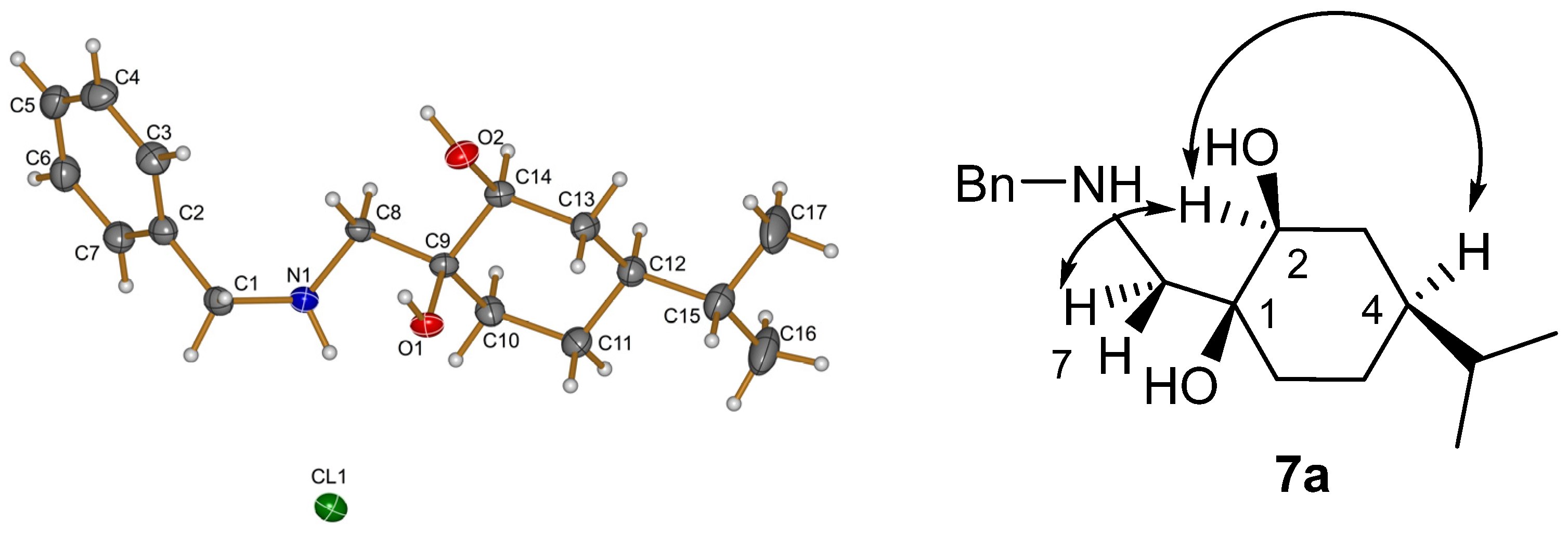 Stereoselective Synthesis and Catalytical Application of