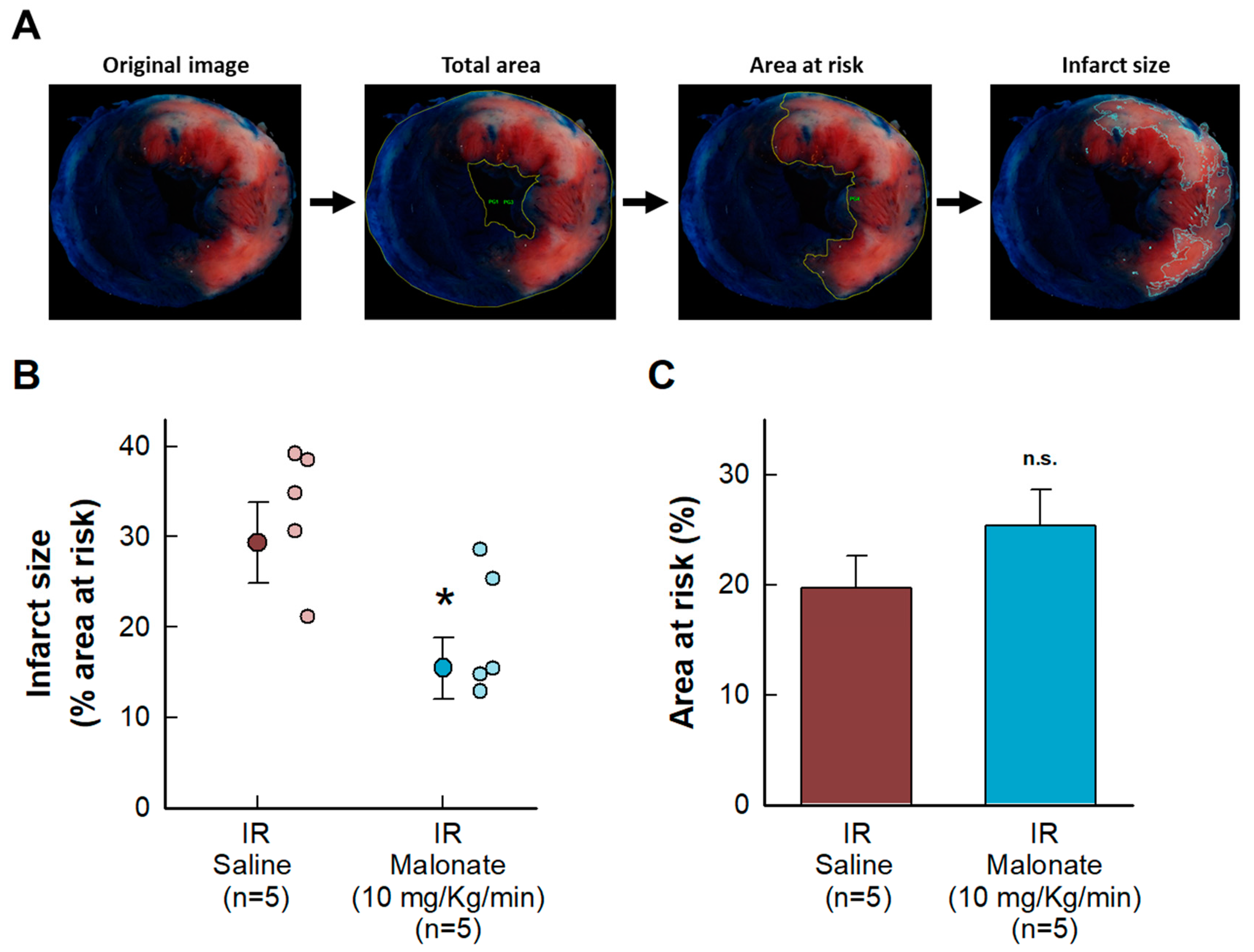 Ijms 25 04366 g001 Ijms 25 04366 g001