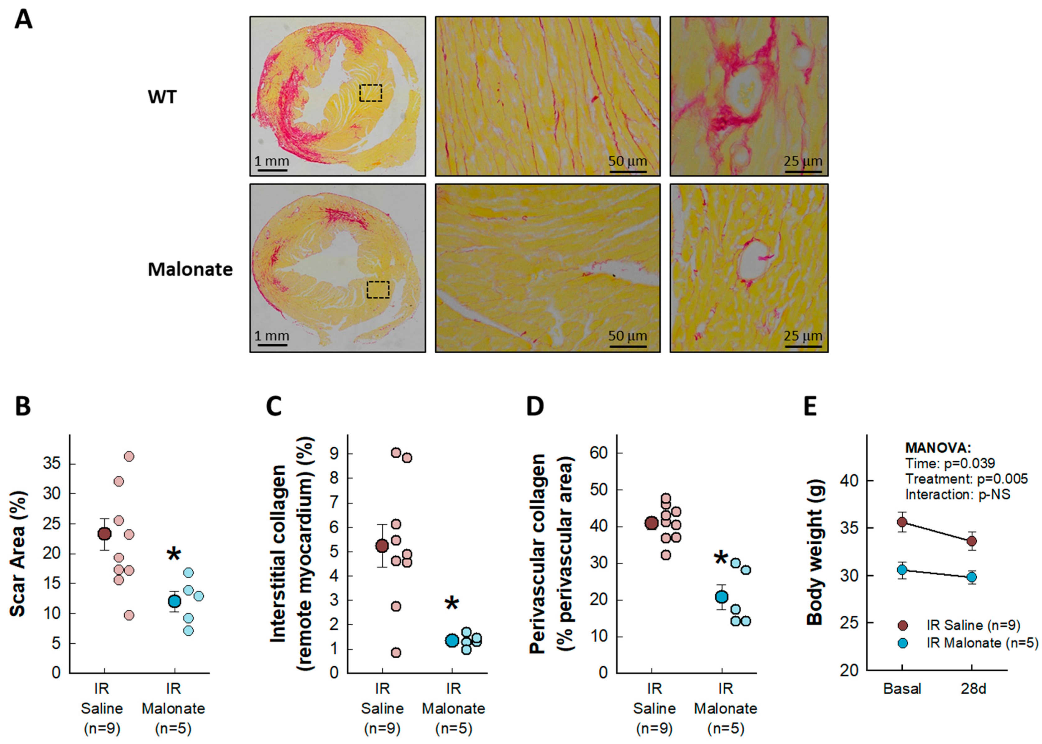 Ijms 25 04366 g002 Ijms 25 04366 g002