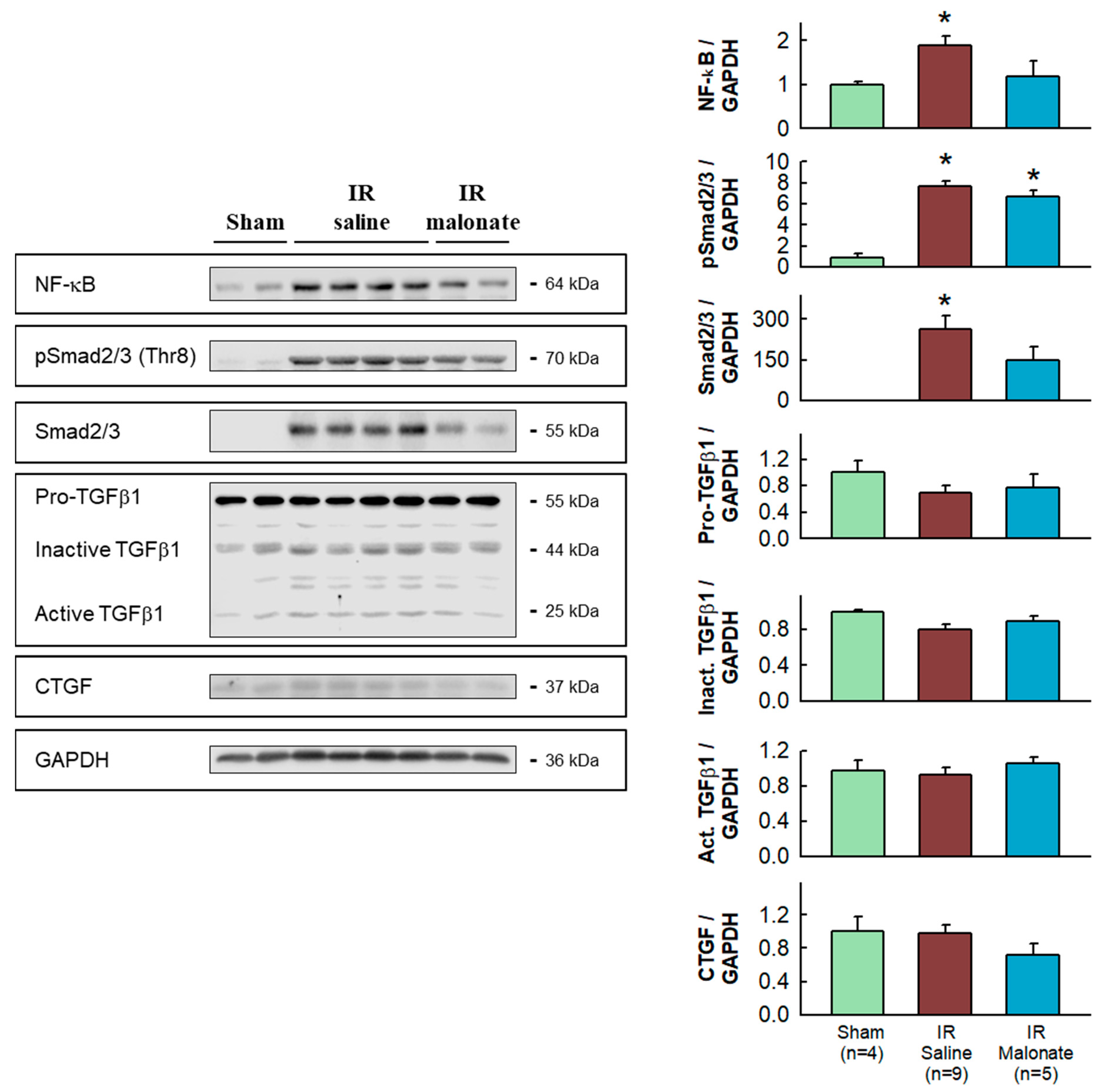 Ijms 25 04366 g005 Ijms 25 04366 g005