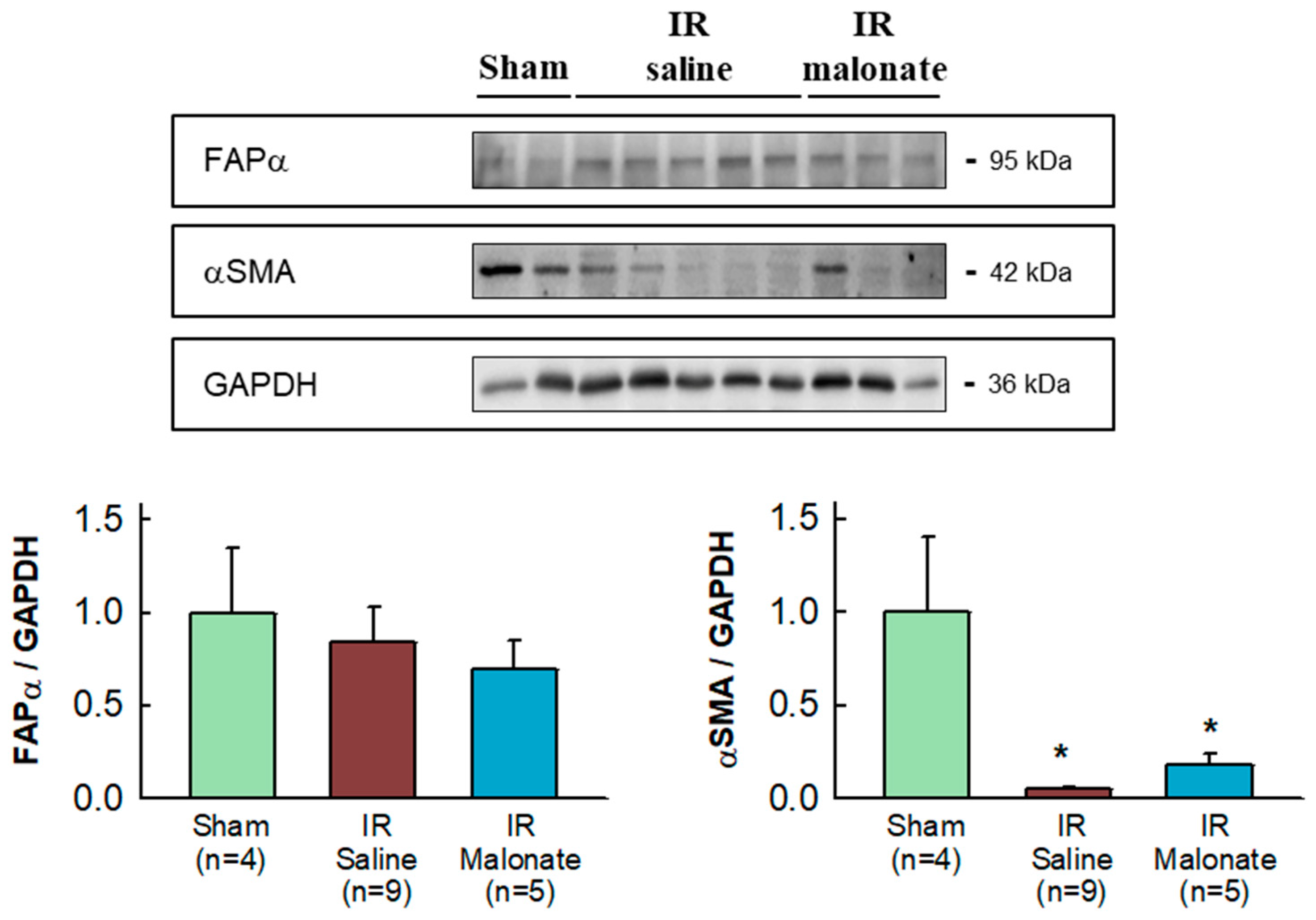 Ijms 25 04366 g006 Ijms 25 04366 g006