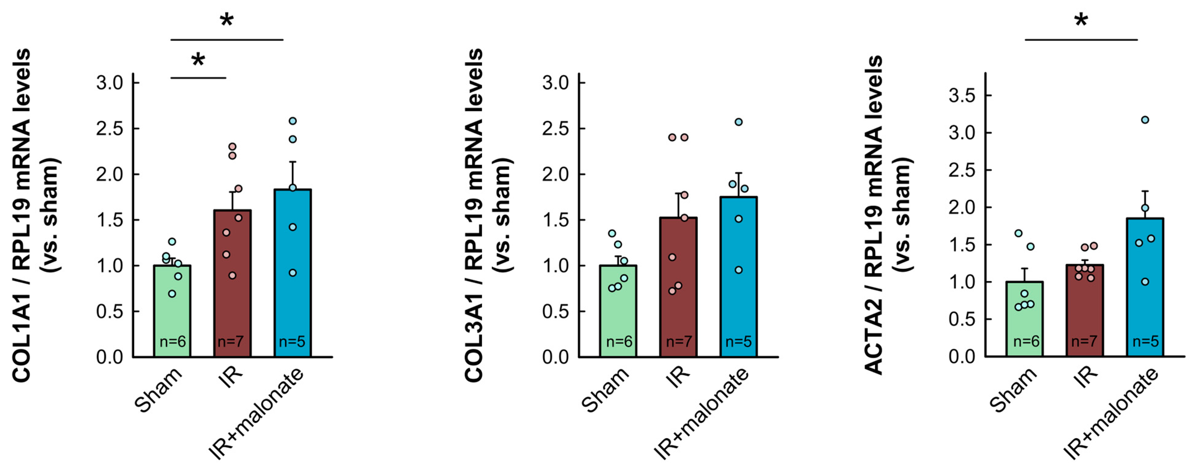 Ijms 25 04366 g007a Ijms 25 04366 g007a