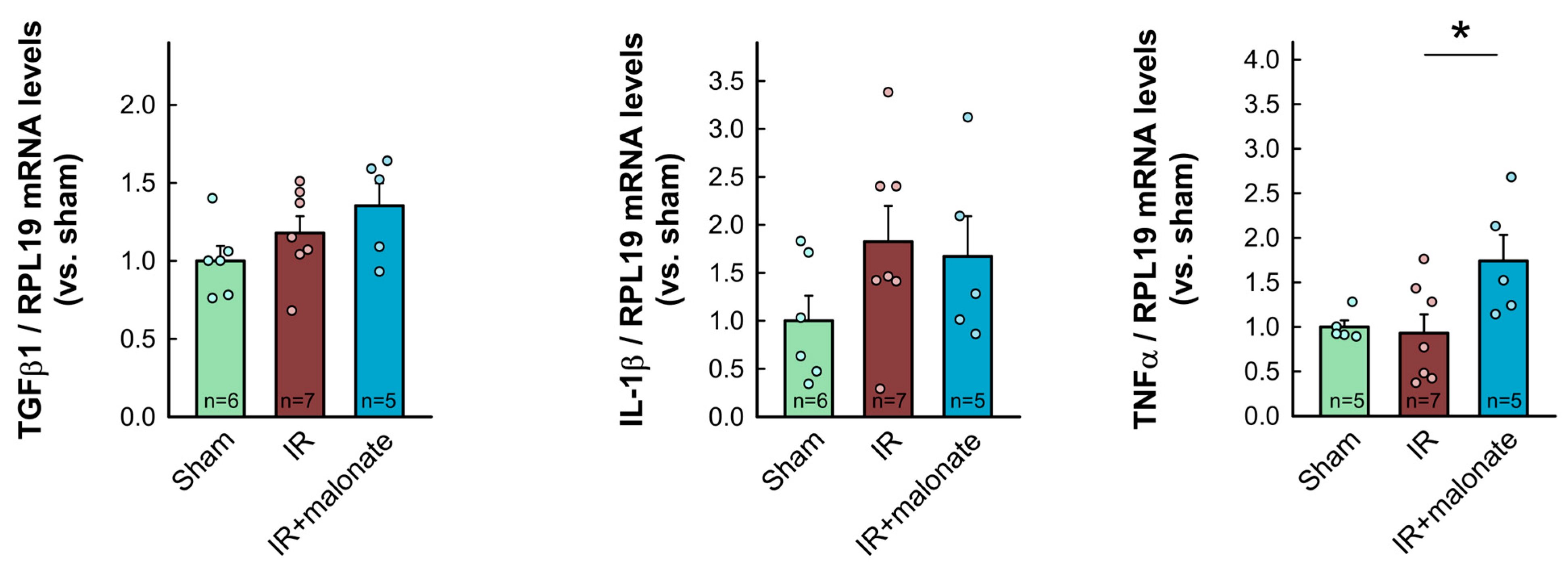 Ijms 25 04366 g007b Ijms 25 04366 g007b