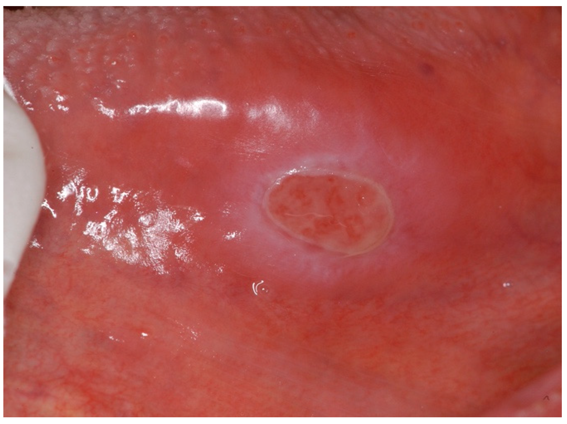 Ijms 25 04373 g003 Ijms 25 04373 g003