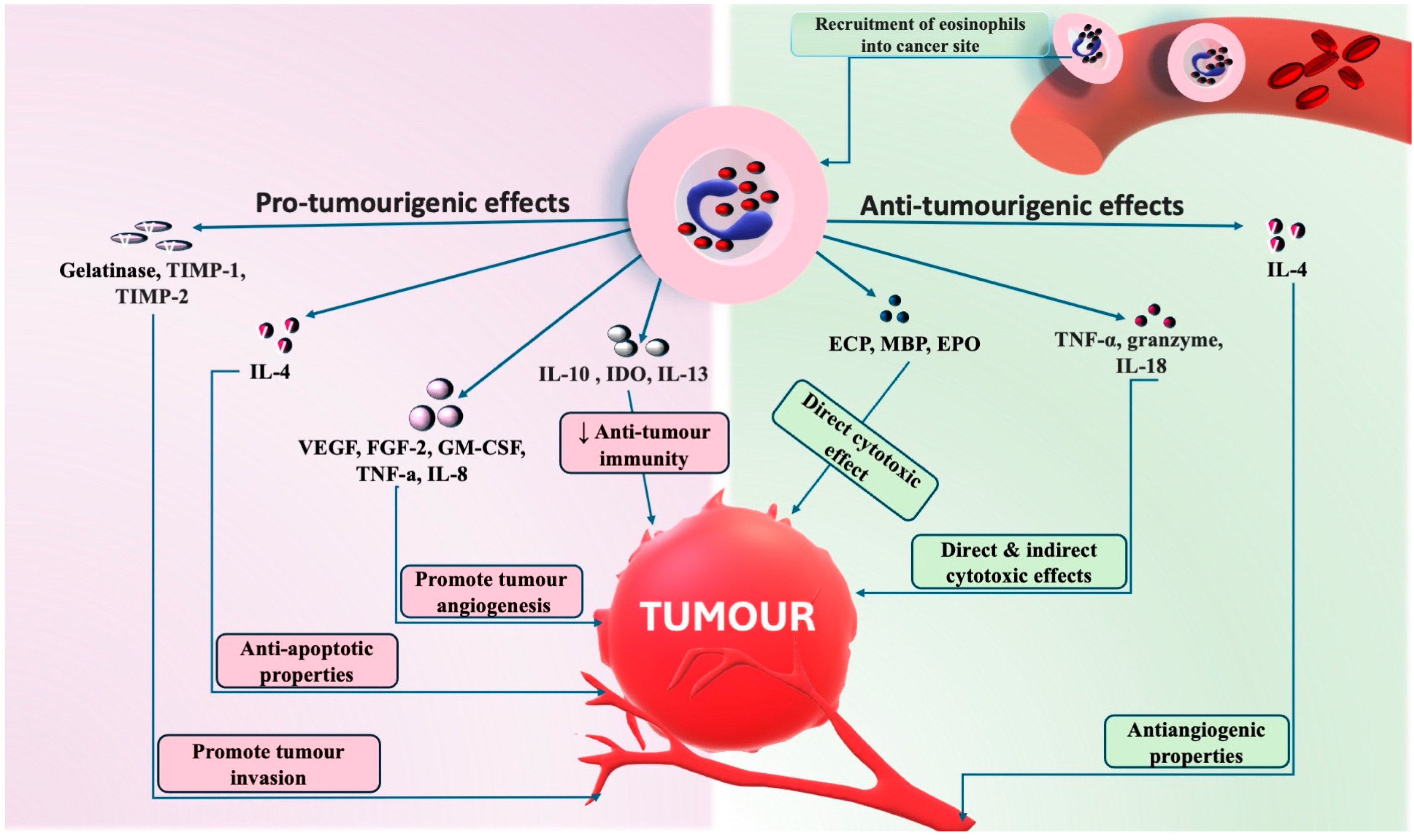 Ijms 25 04373 g008 Ijms 25 04373 g008