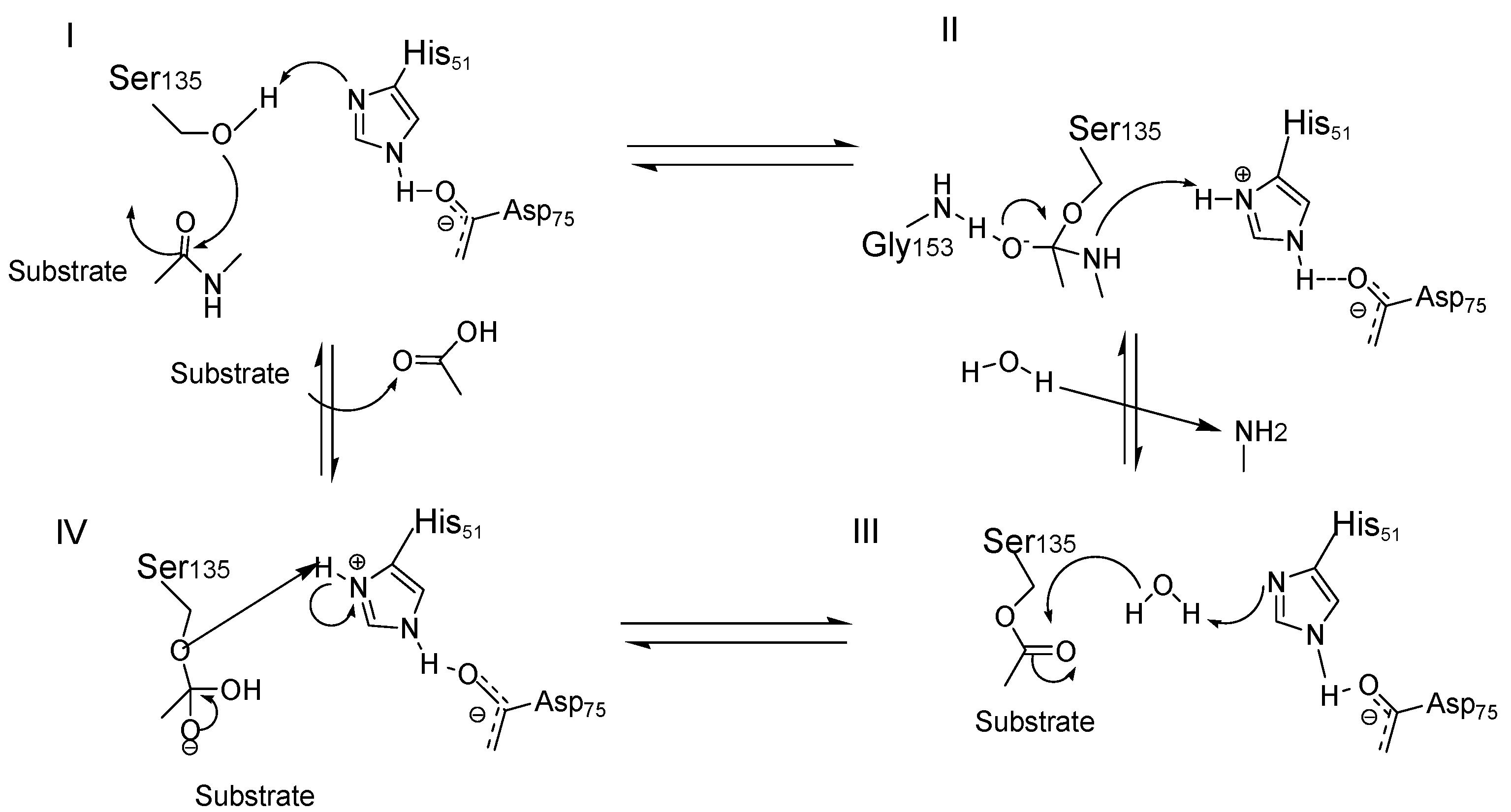 Ijms 25 04376 g001 Ijms 25 04376 g001