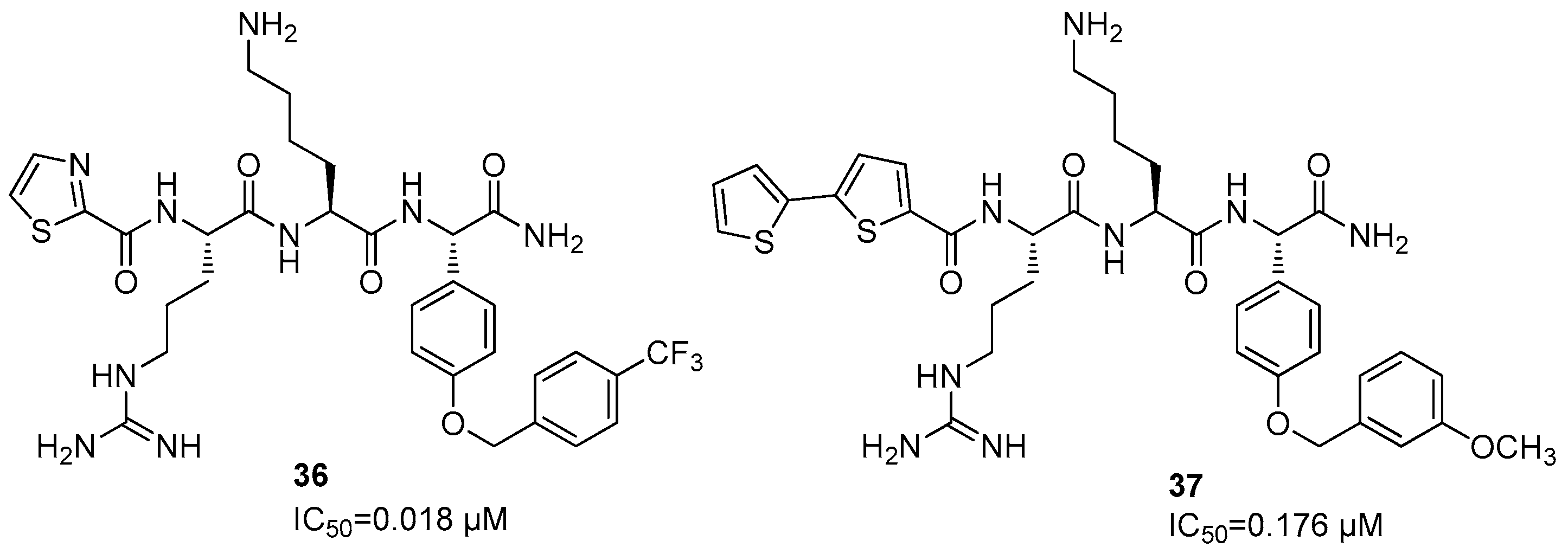 Ijms 25 04376 g013 Ijms 25 04376 g013