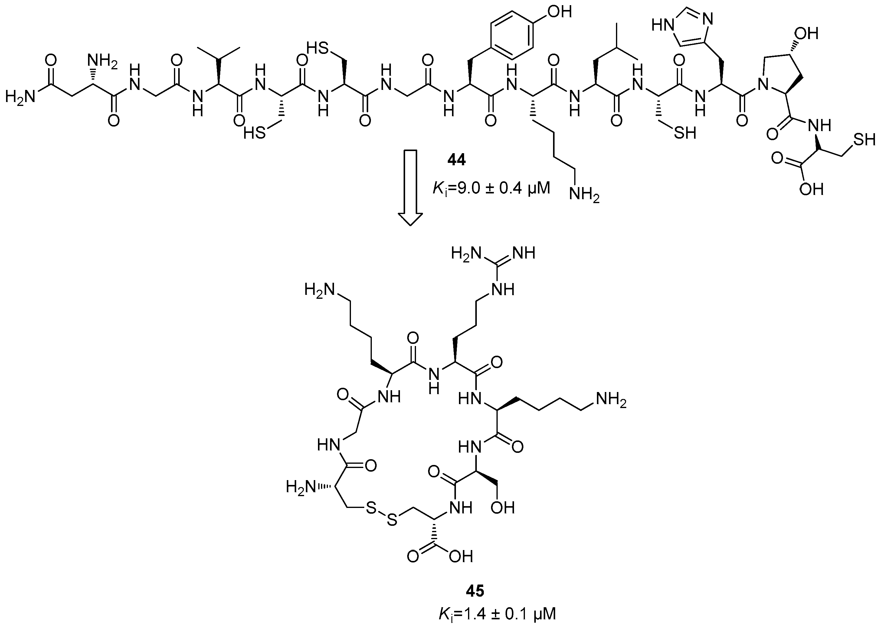 Ijms 25 04376 g018 Ijms 25 04376 g018