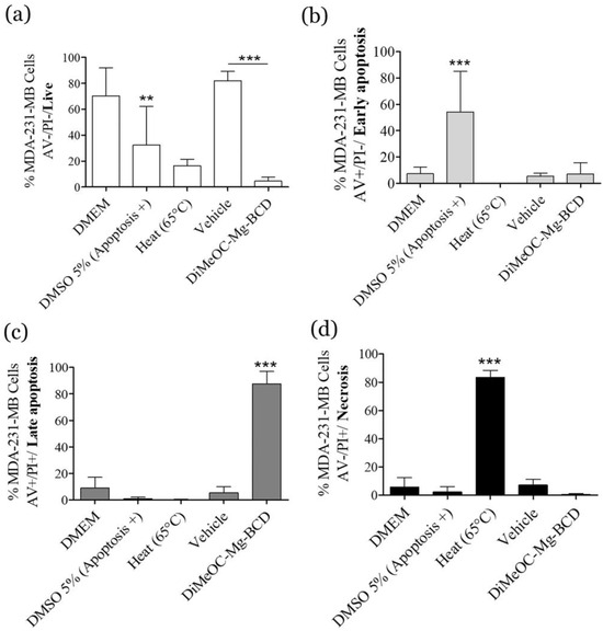 Paradoxical effects of DNA tumor virus oncogenes on