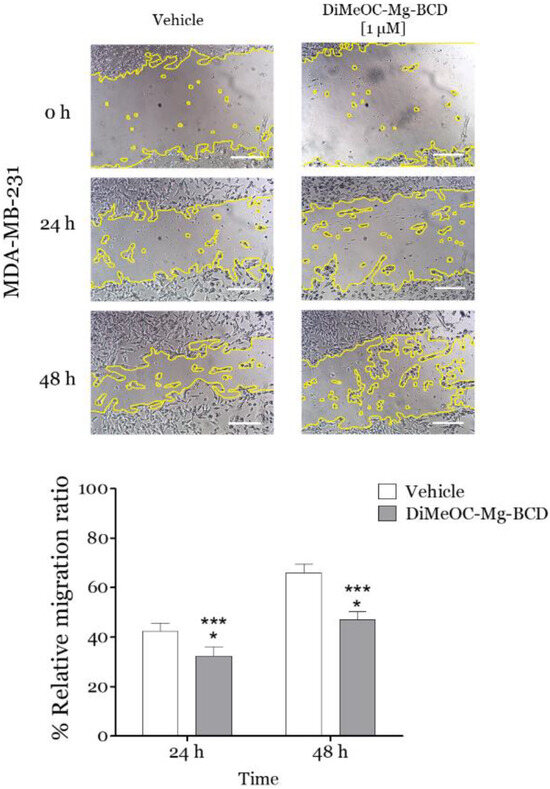 The Antitumoral Effect In Ovo of a New Inclusion Complex