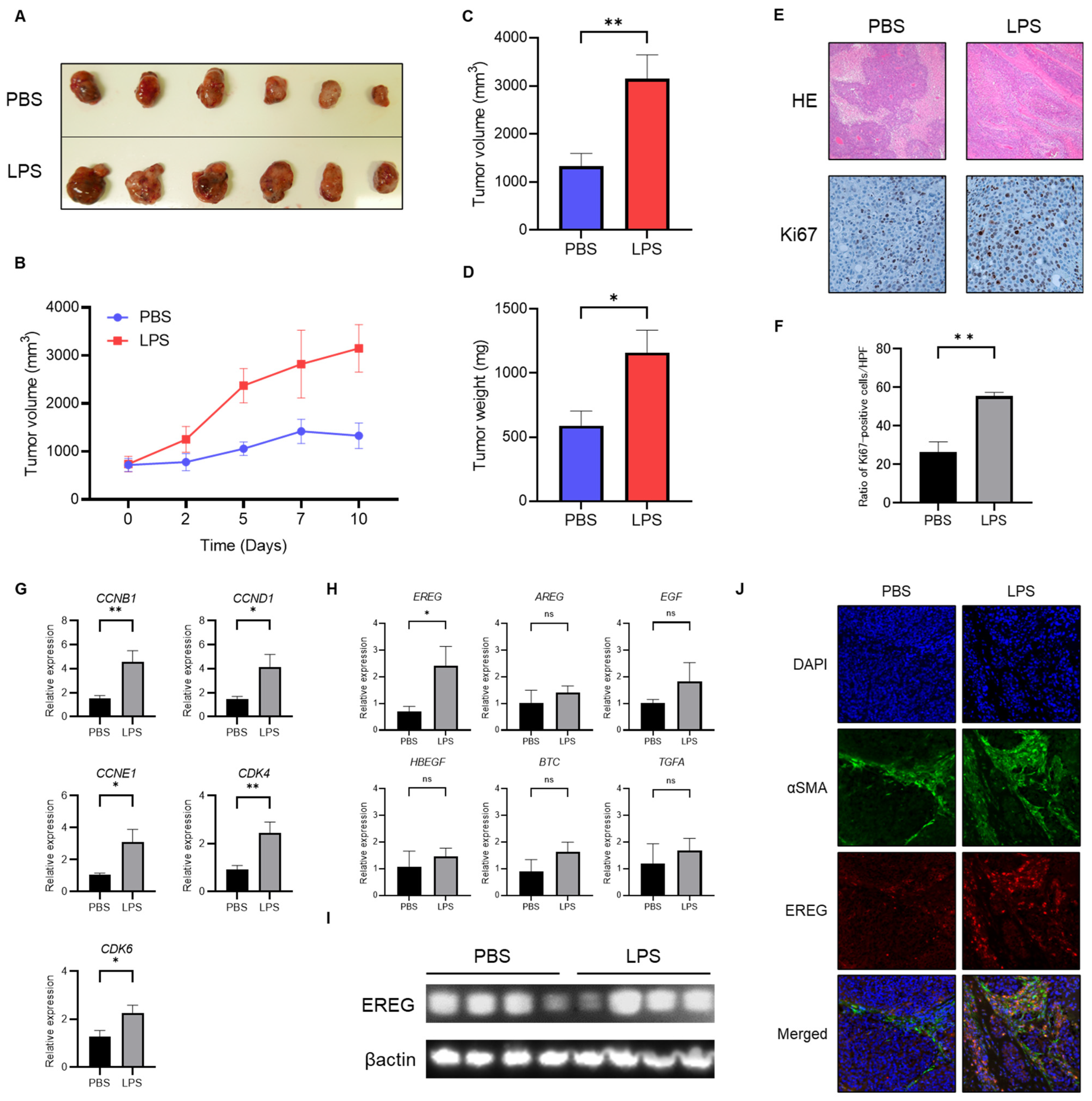 Ijms 25 04405 g002 Ijms 25 04405 g002