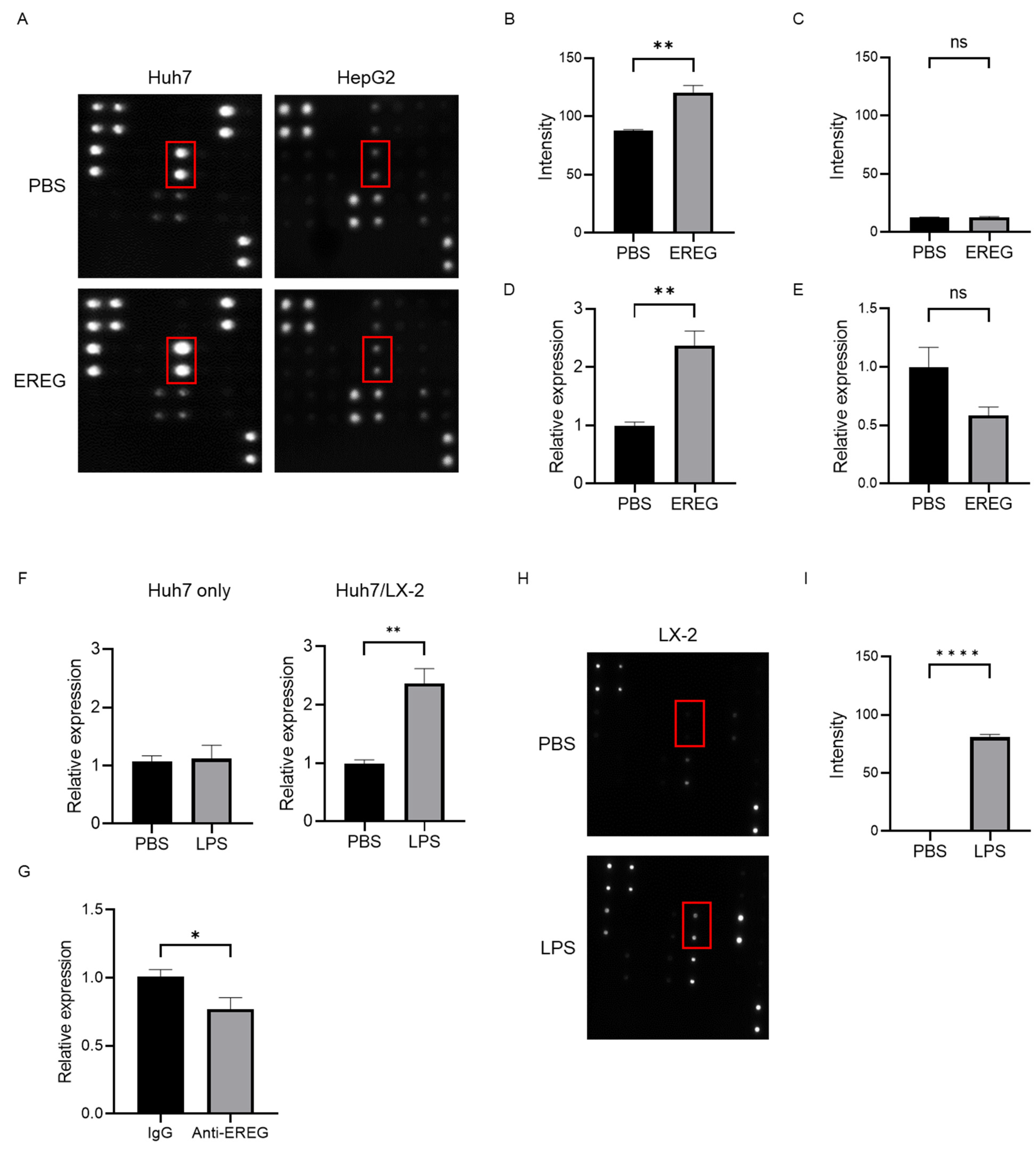 Ijms 25 04405 g005 Ijms 25 04405 g005