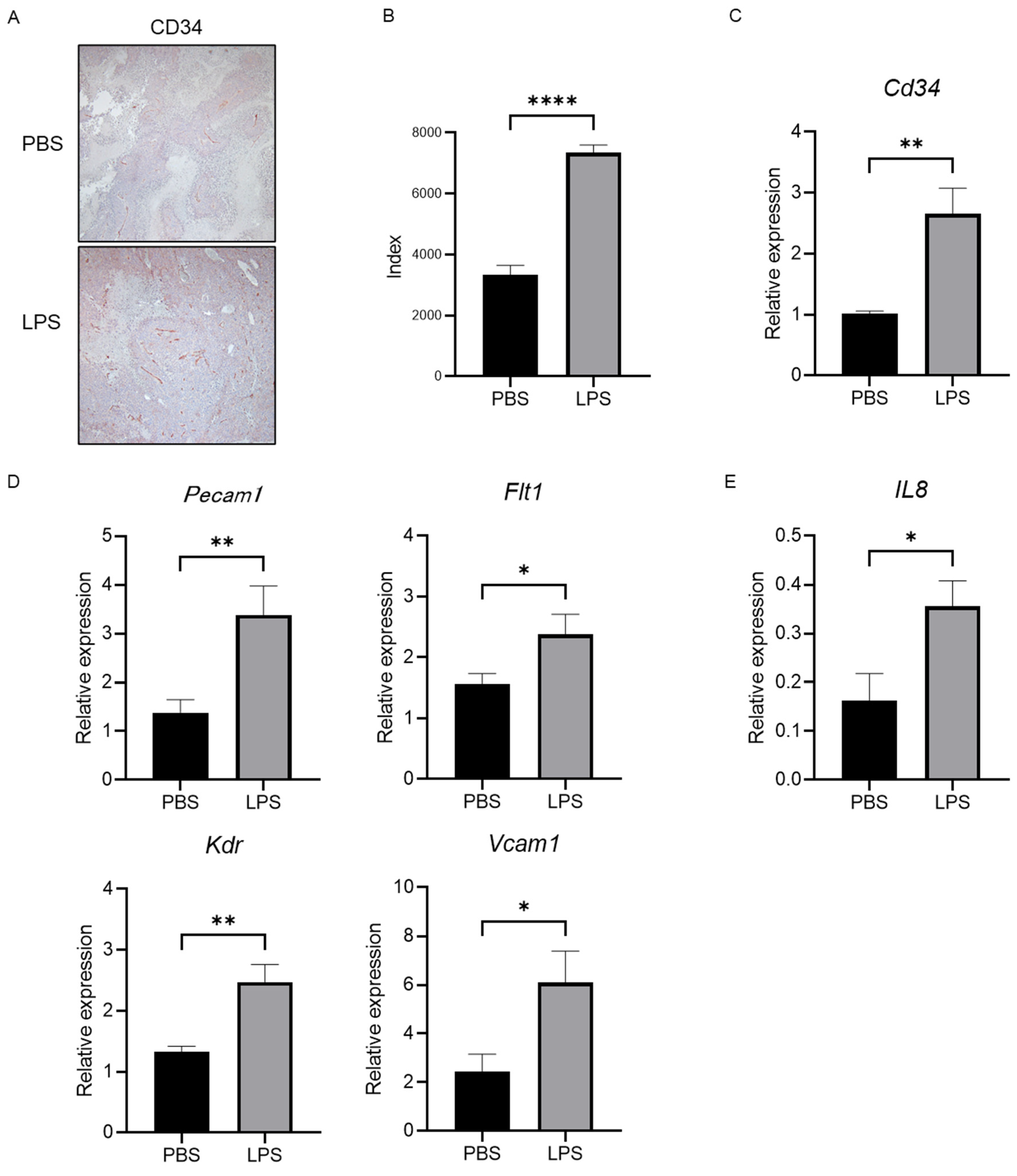 Ijms 25 04405 g006 Ijms 25 04405 g006
