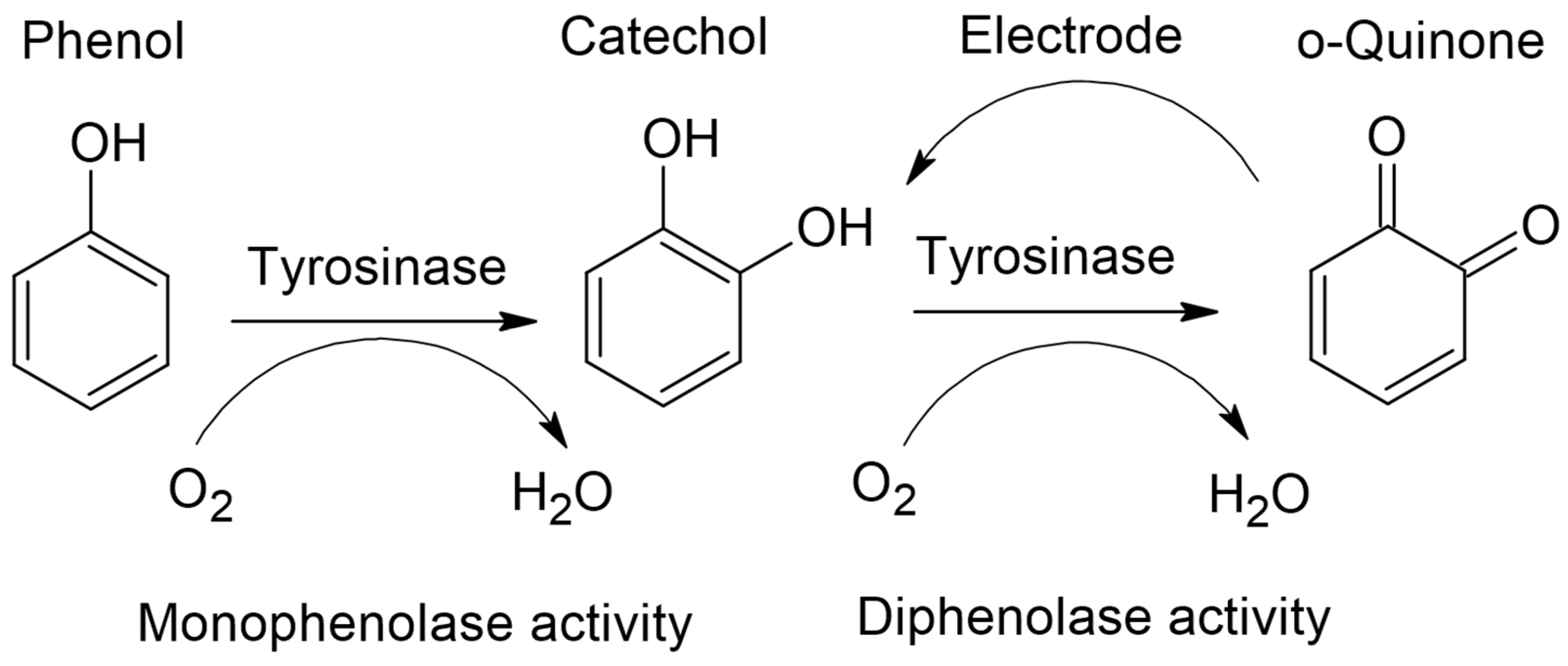 Ijms 25 04419 sch001