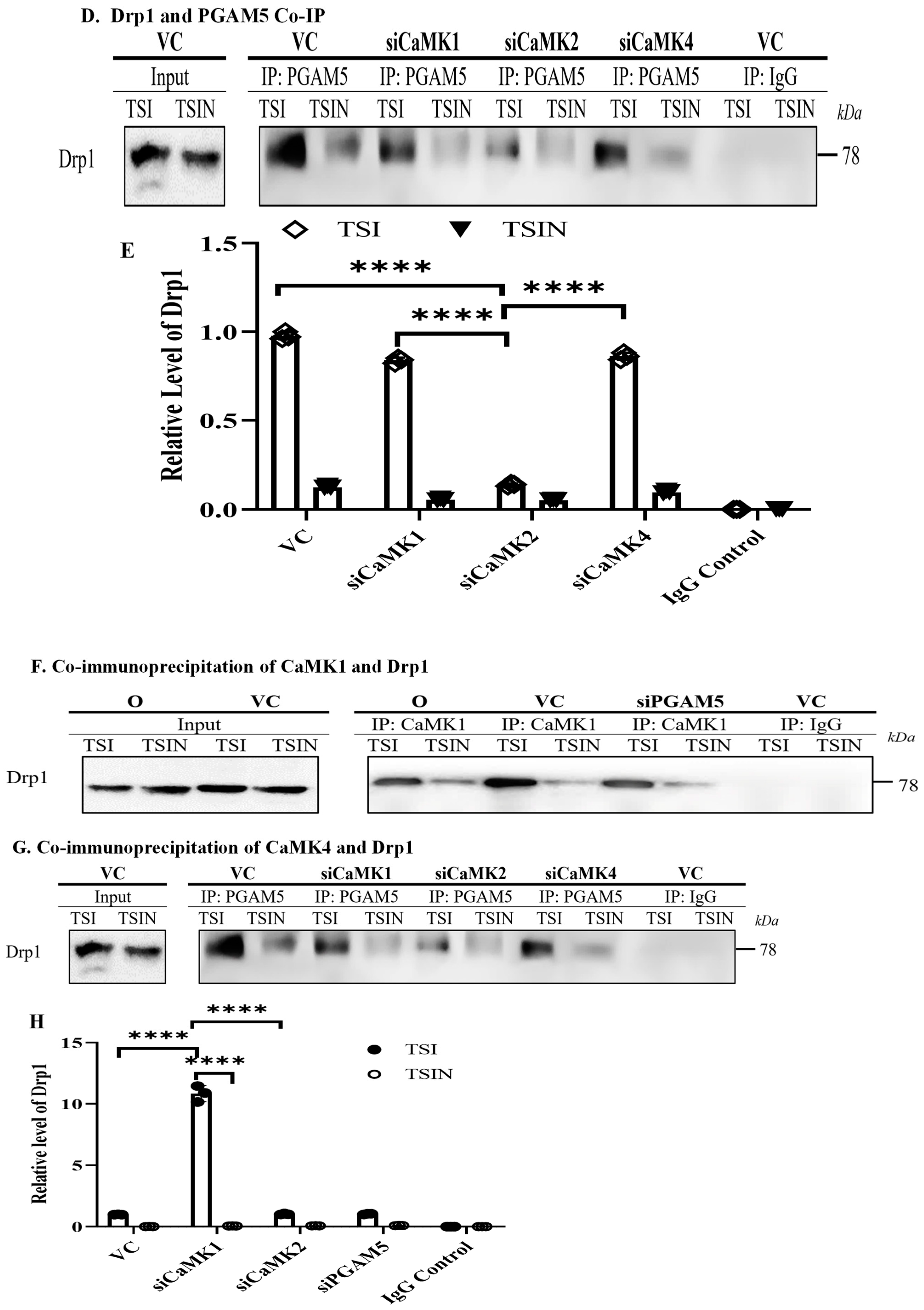 Ijms 25 04428 g005b Ijms 25 04428 g005b