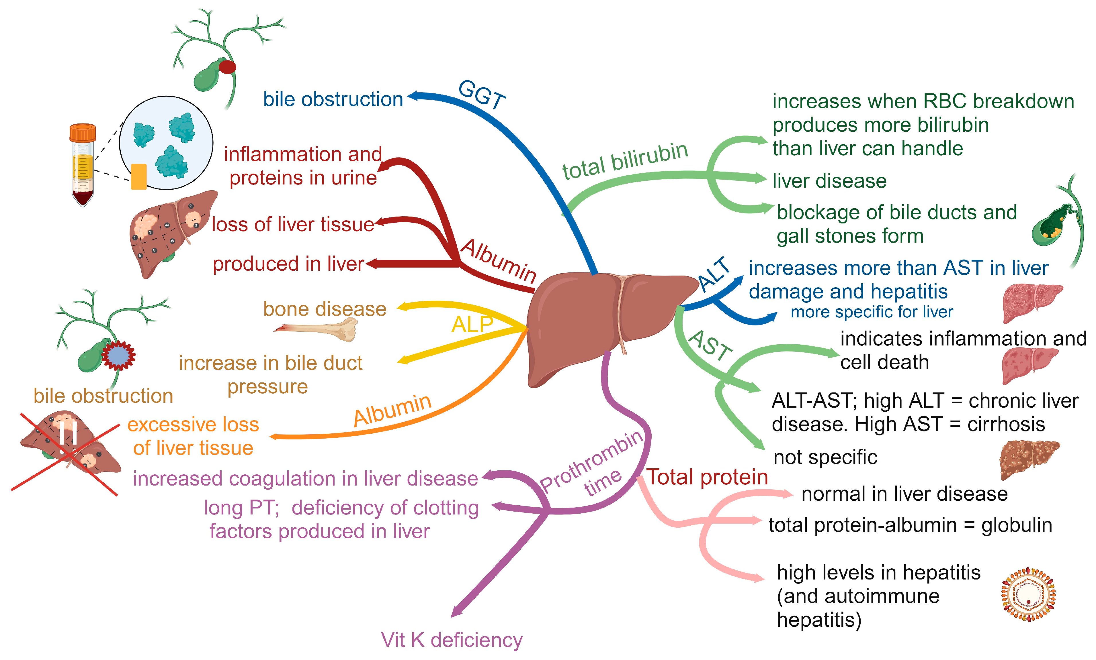 Ijms 25 04431 g001 Ijms 25 04431 g001