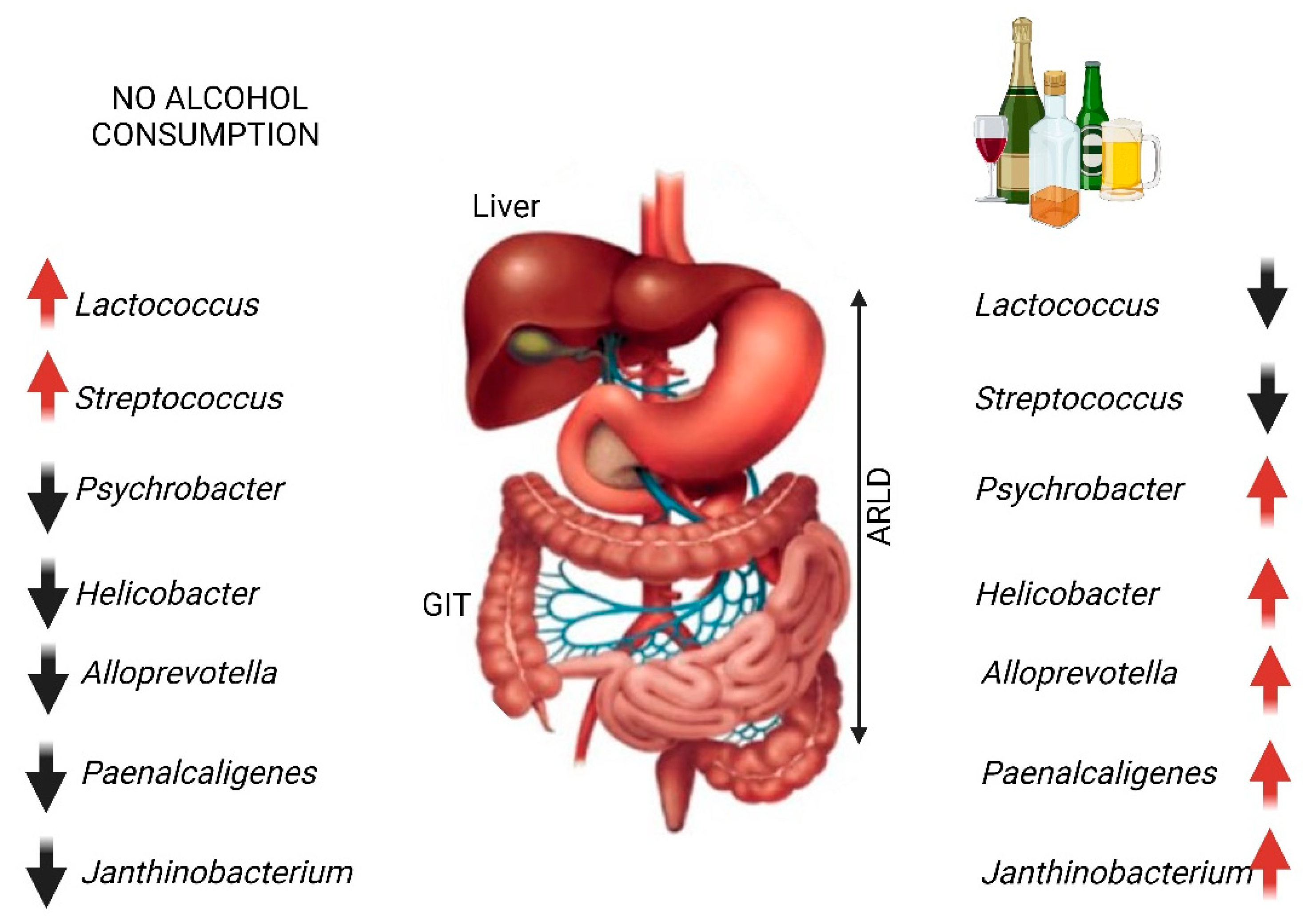 Ijms 25 04431 g002 Ijms 25 04431 g002