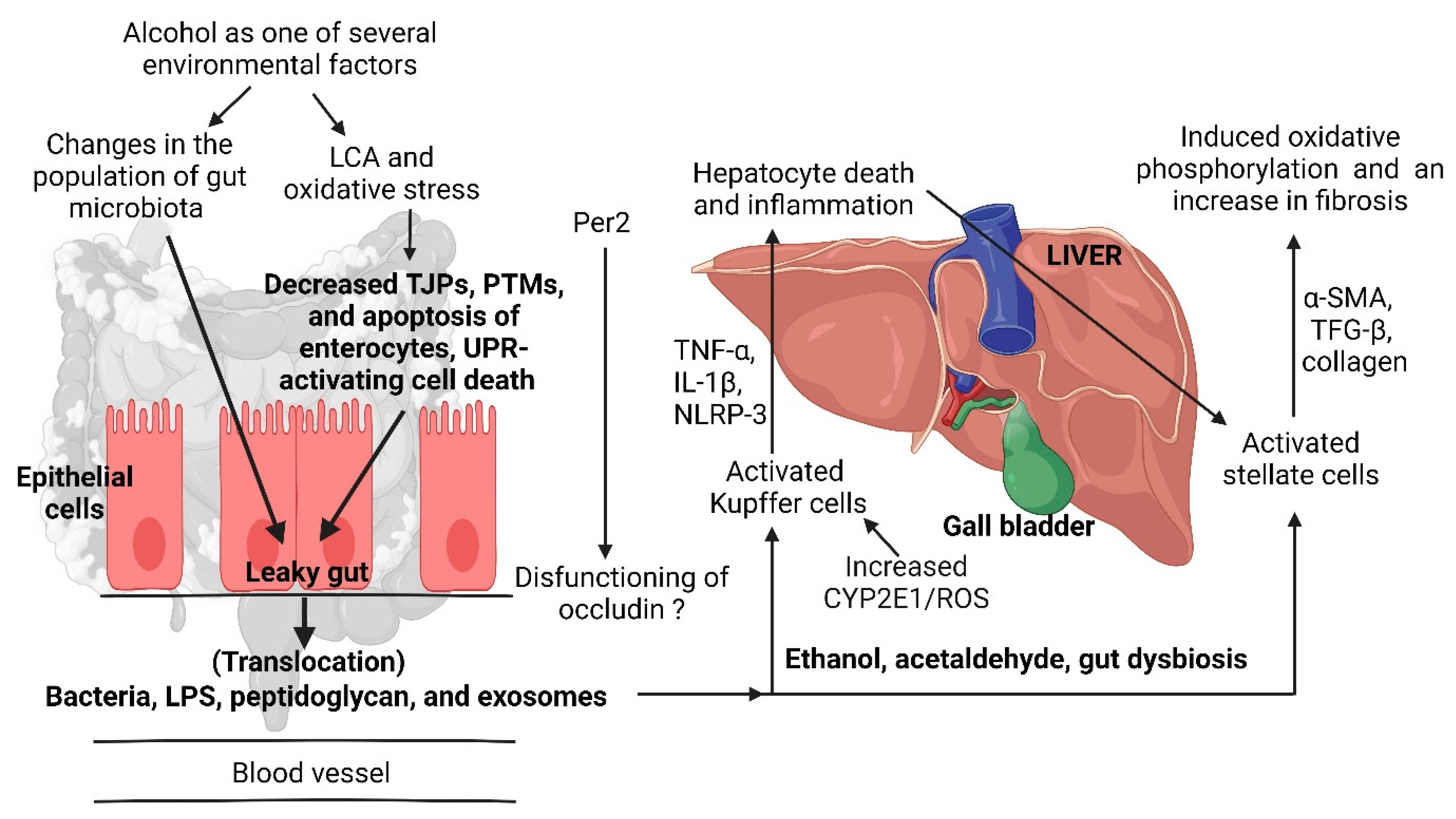 Ijms 25 04431 g003 Ijms 25 04431 g003