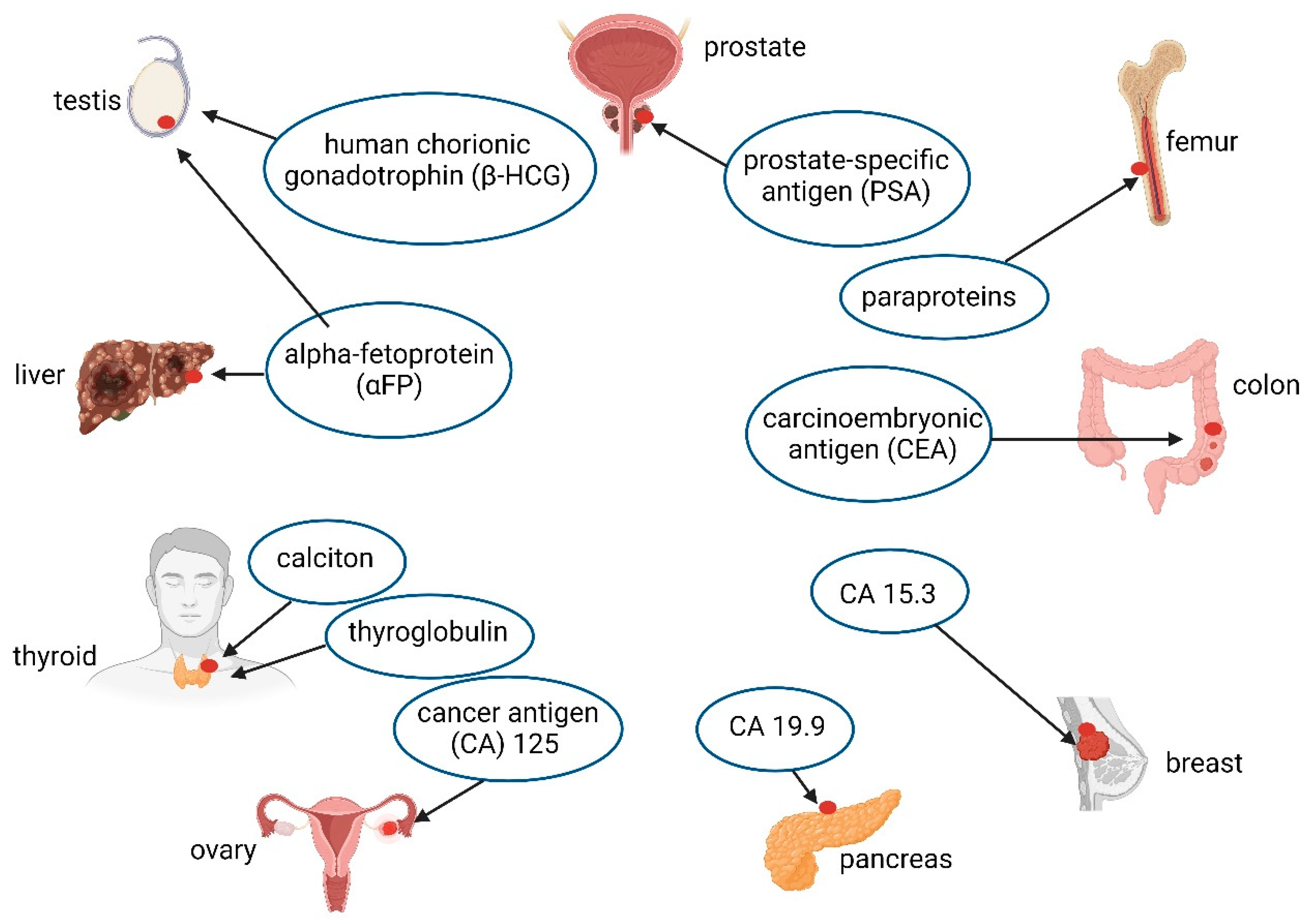 Ijms 25 04431 g004 Ijms 25 04431 g004