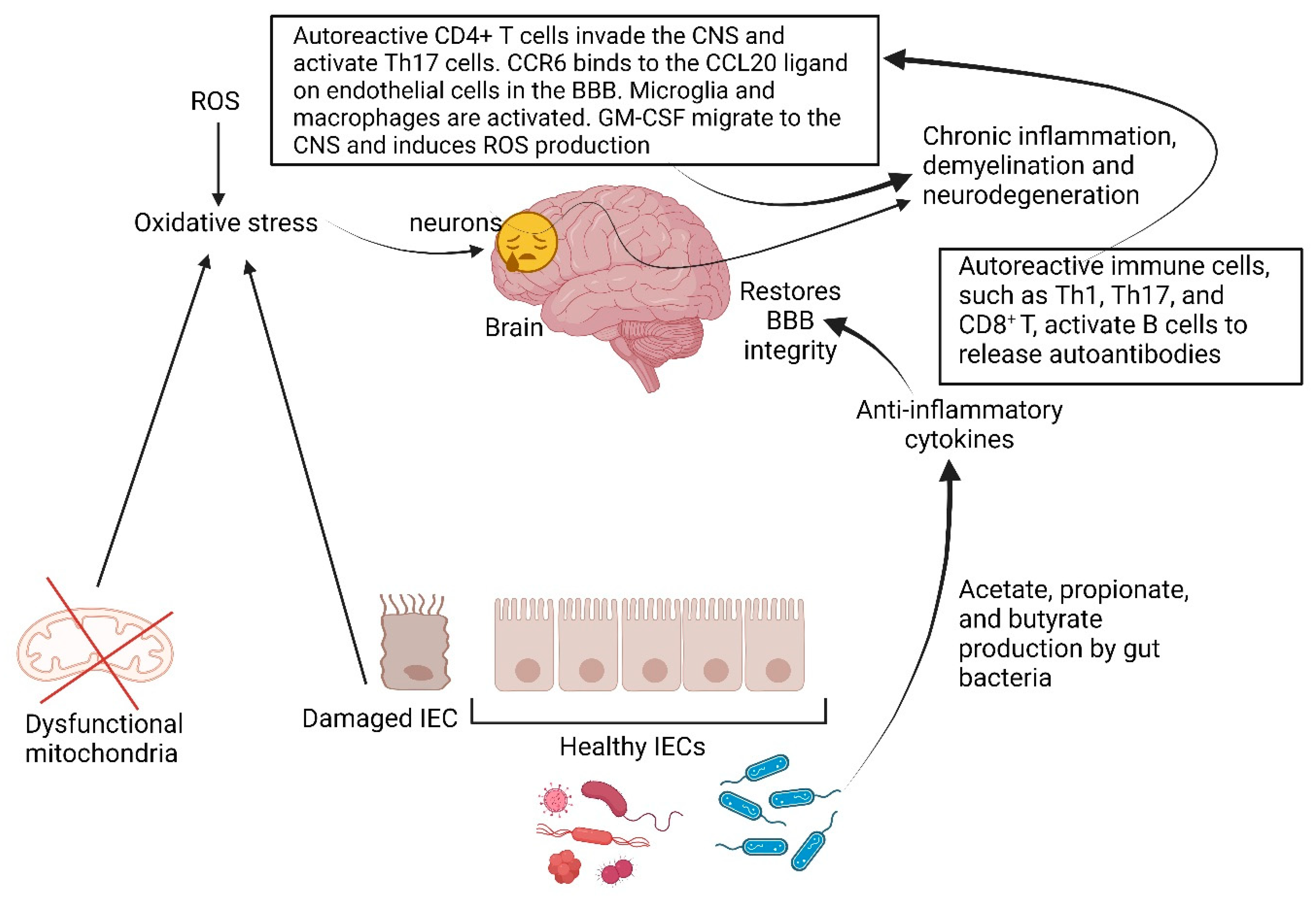 Ijms 25 04431 g006 Ijms 25 04431 g006