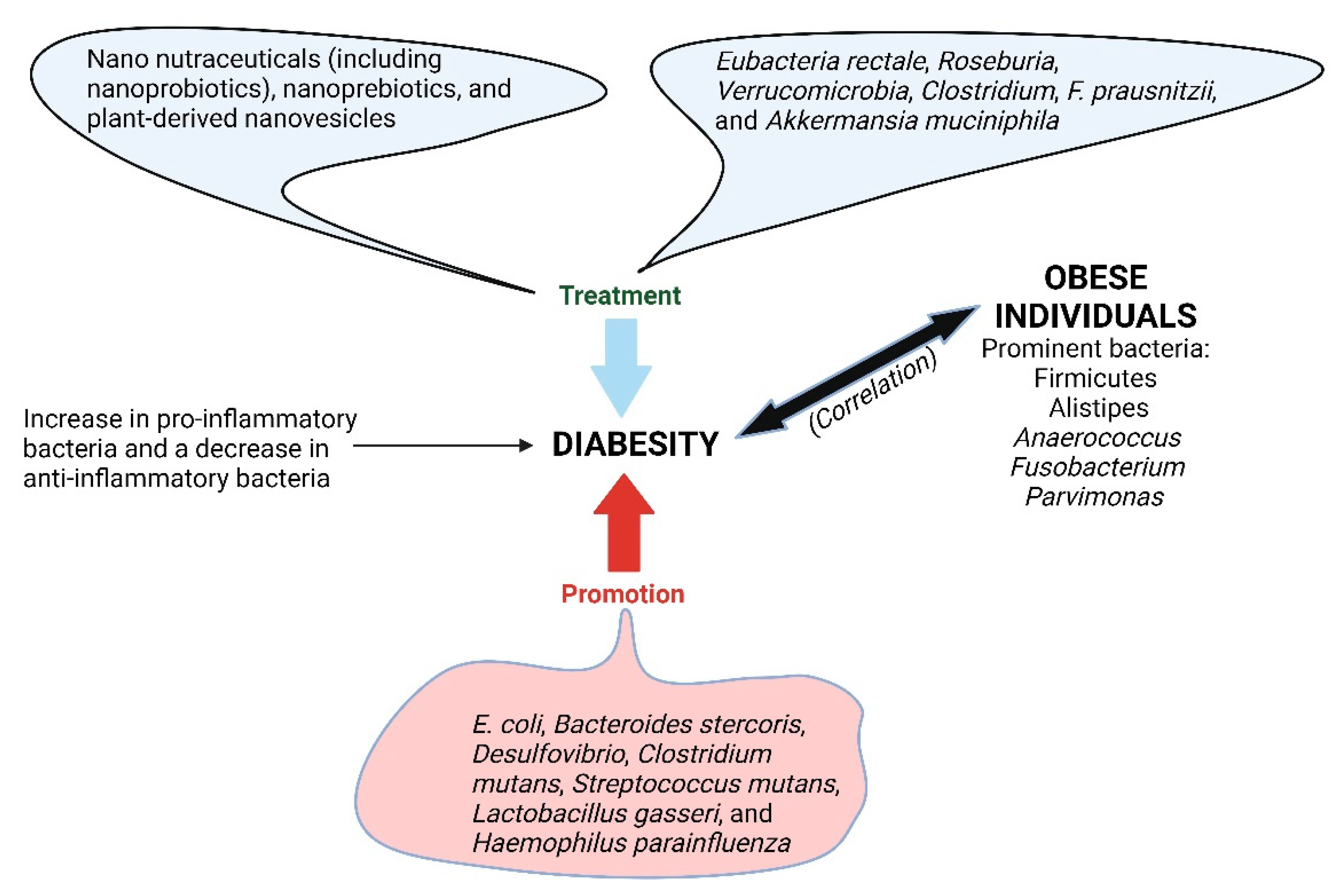 Ijms 25 04431 g007 Ijms 25 04431 g007