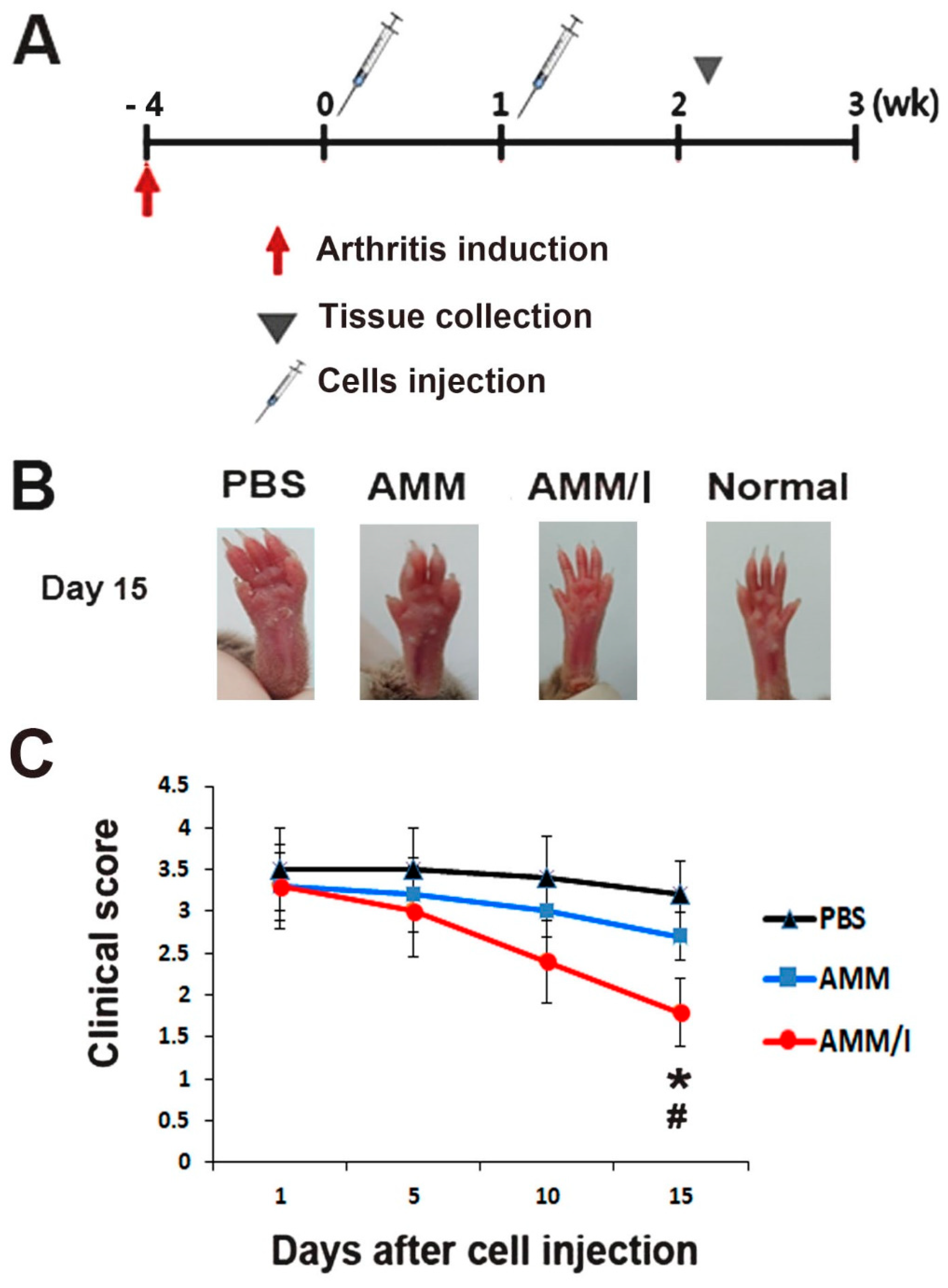 Ijms 25 04442 g003 Ijms 25 04442 g003