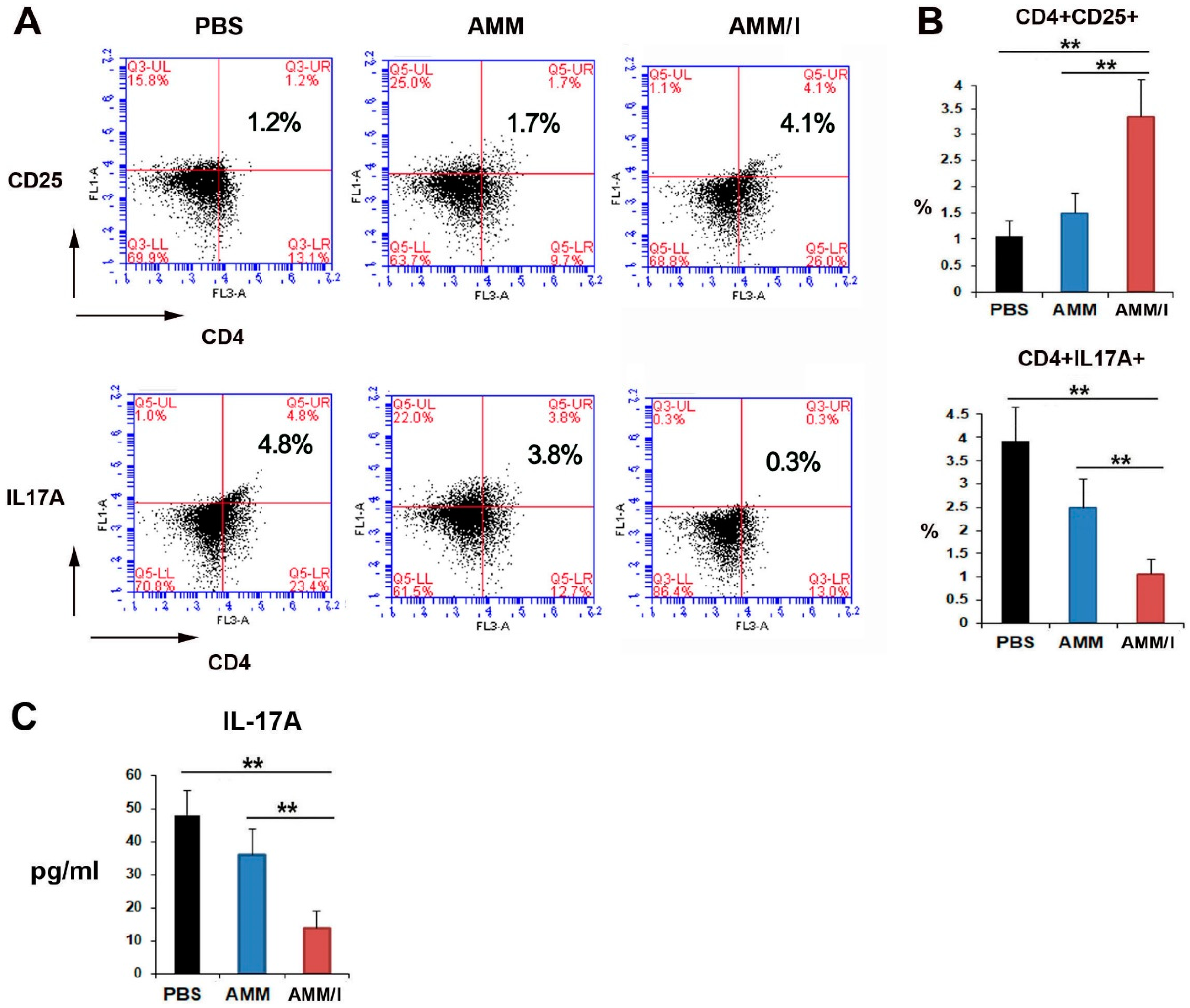 Ijms 25 04442 g004 Ijms 25 04442 g004